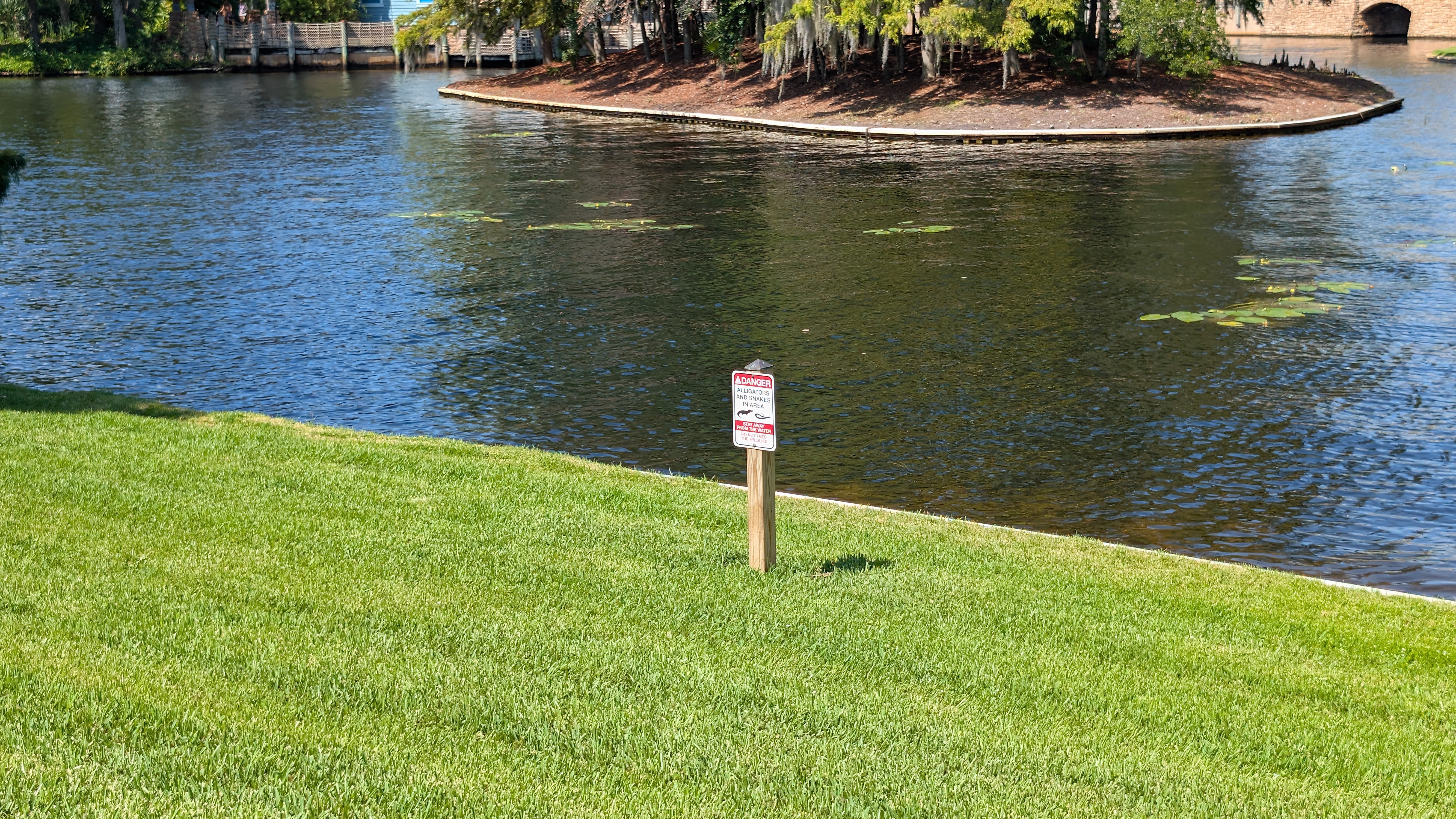 Disney’s Port Orleans Resort Riverside grounds alligators and snakes Disney's Port Orleans Resort Riverside grounds alligators and snakes