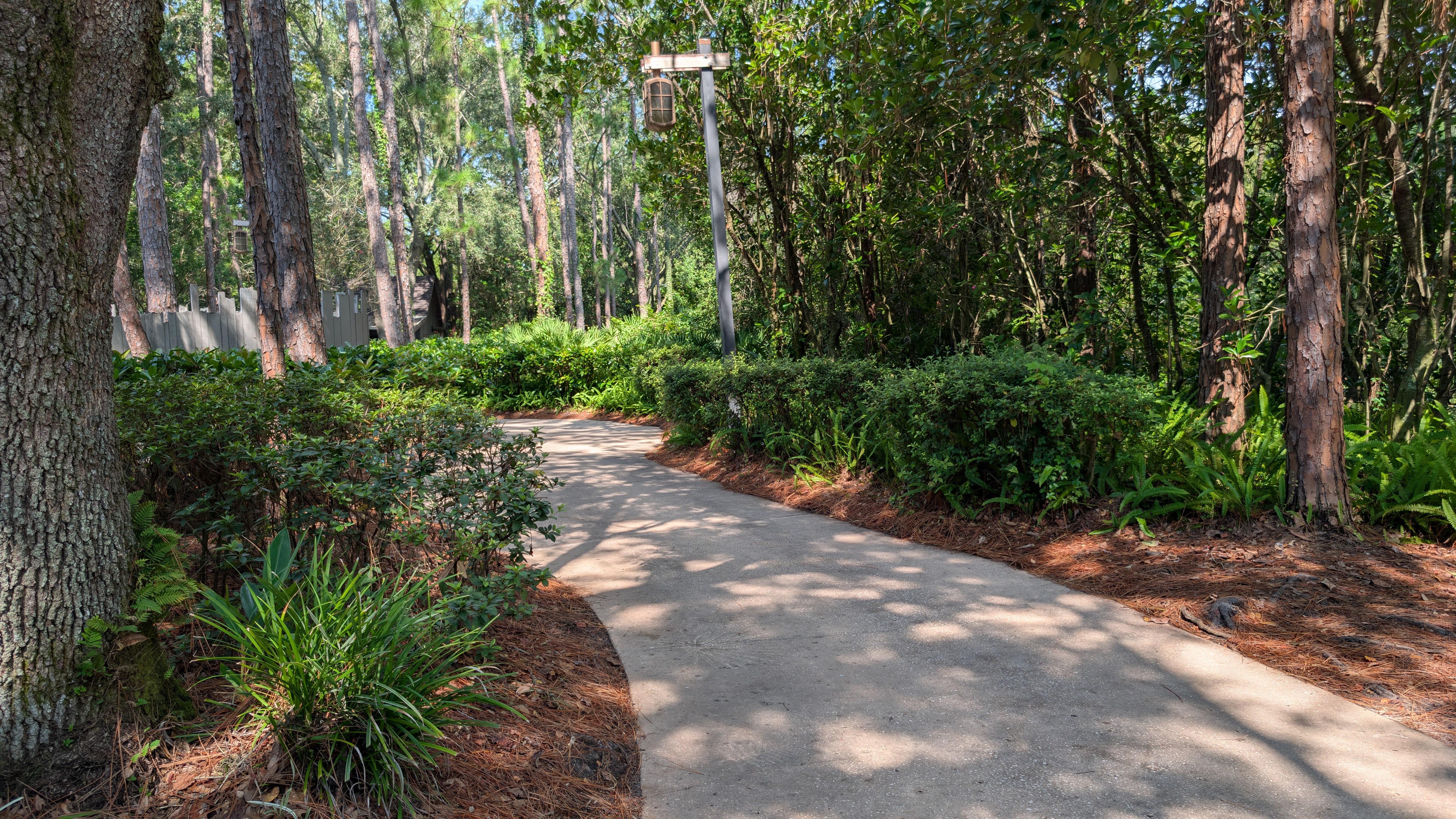 Disney’s Port Orleans Resort Riverside grounds park trail Disney's Port Orleans Resort Riverside grounds park trail