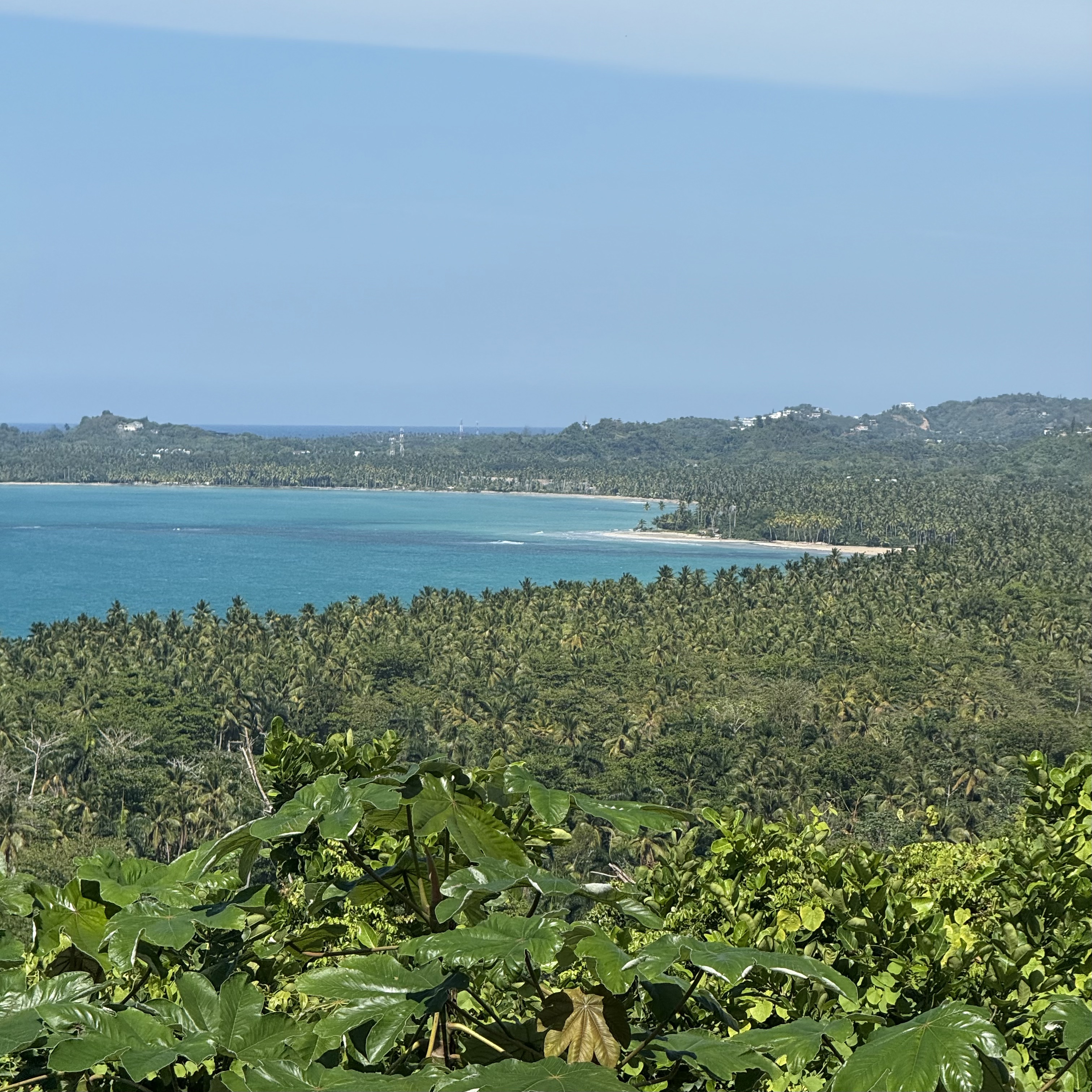 Samana Samana