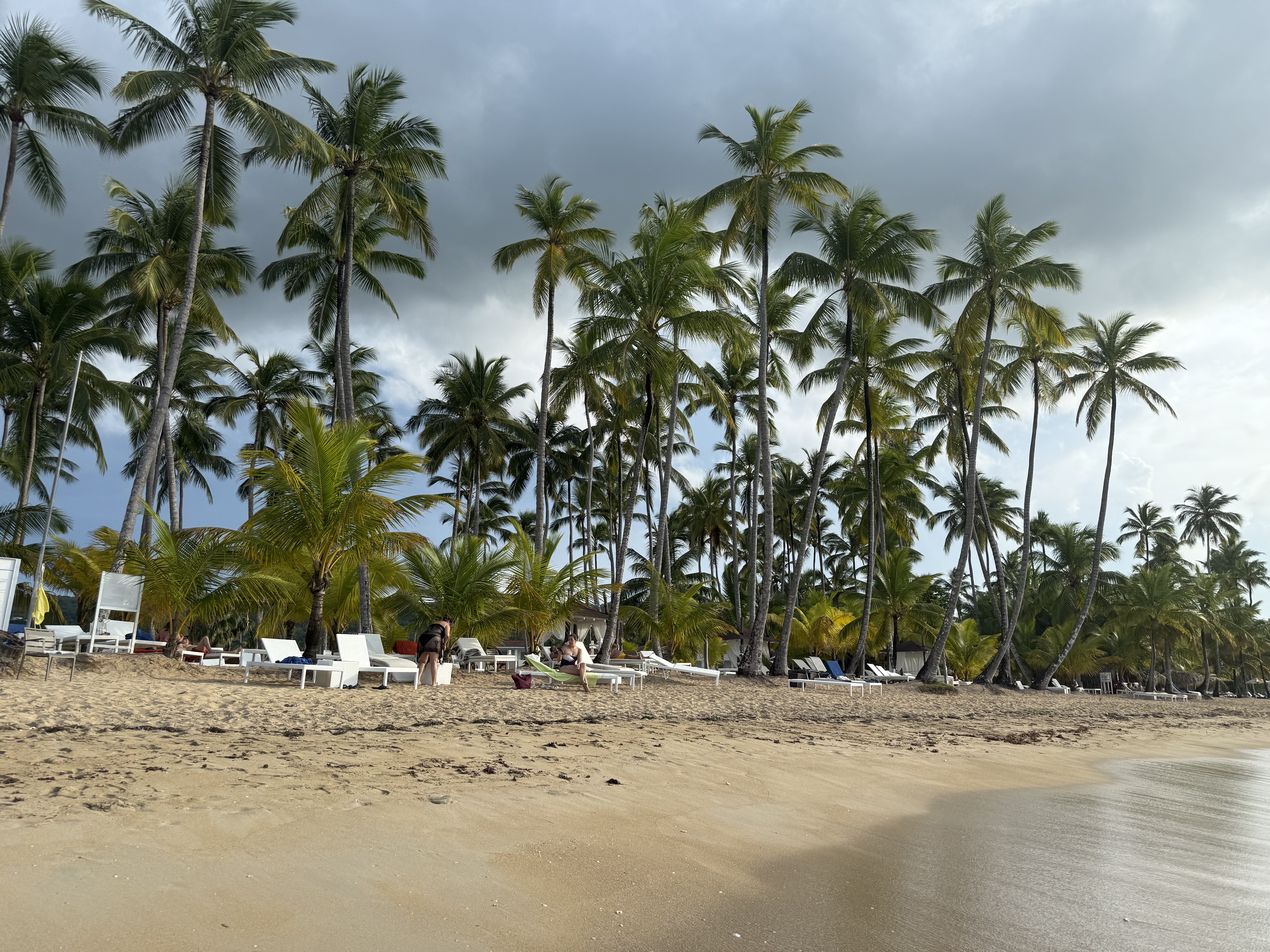 Viva V Samana Beach Viva V Samana Beach
