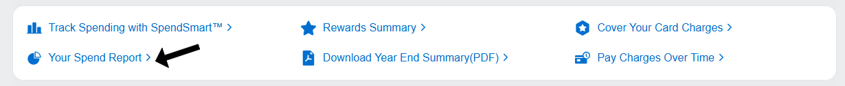 Amex view spending report option Amex spending report link