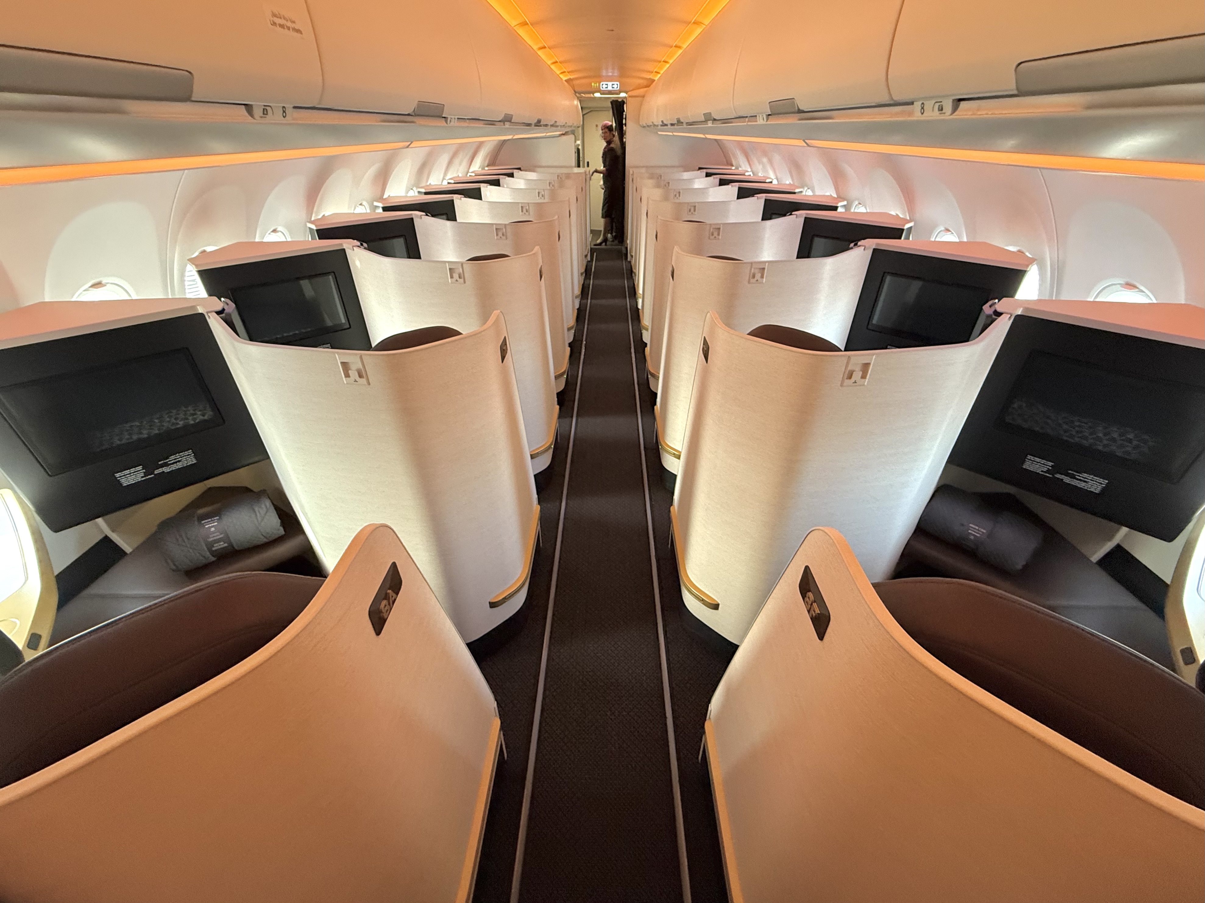 Etihad Airbus A321LR business class cabin from rear
