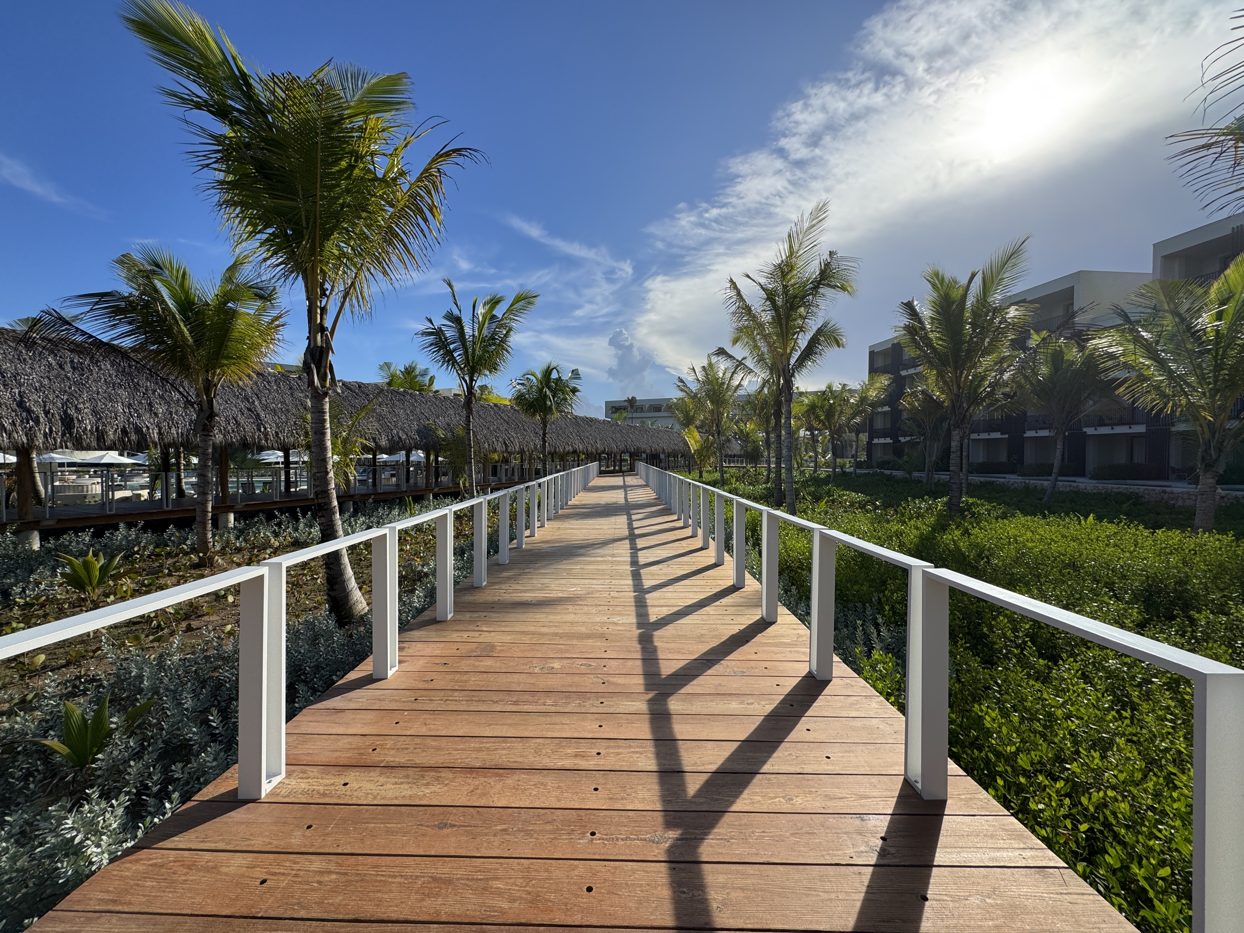 W Punta Cana Boardwalk Green Lush Plants W Punta Cana Boardwalk Green Lush Plants