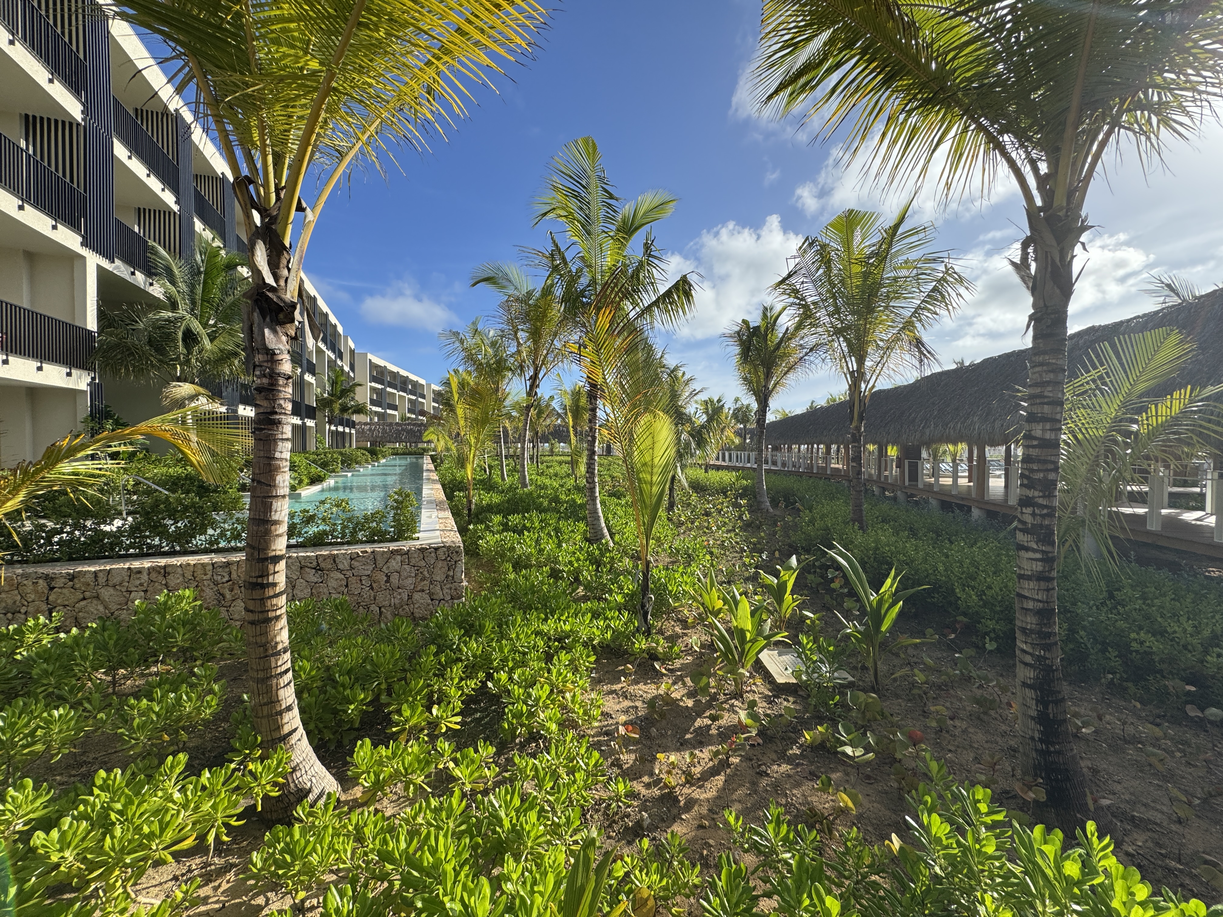 W Punta Cana Plants W Punta Cana Plants
