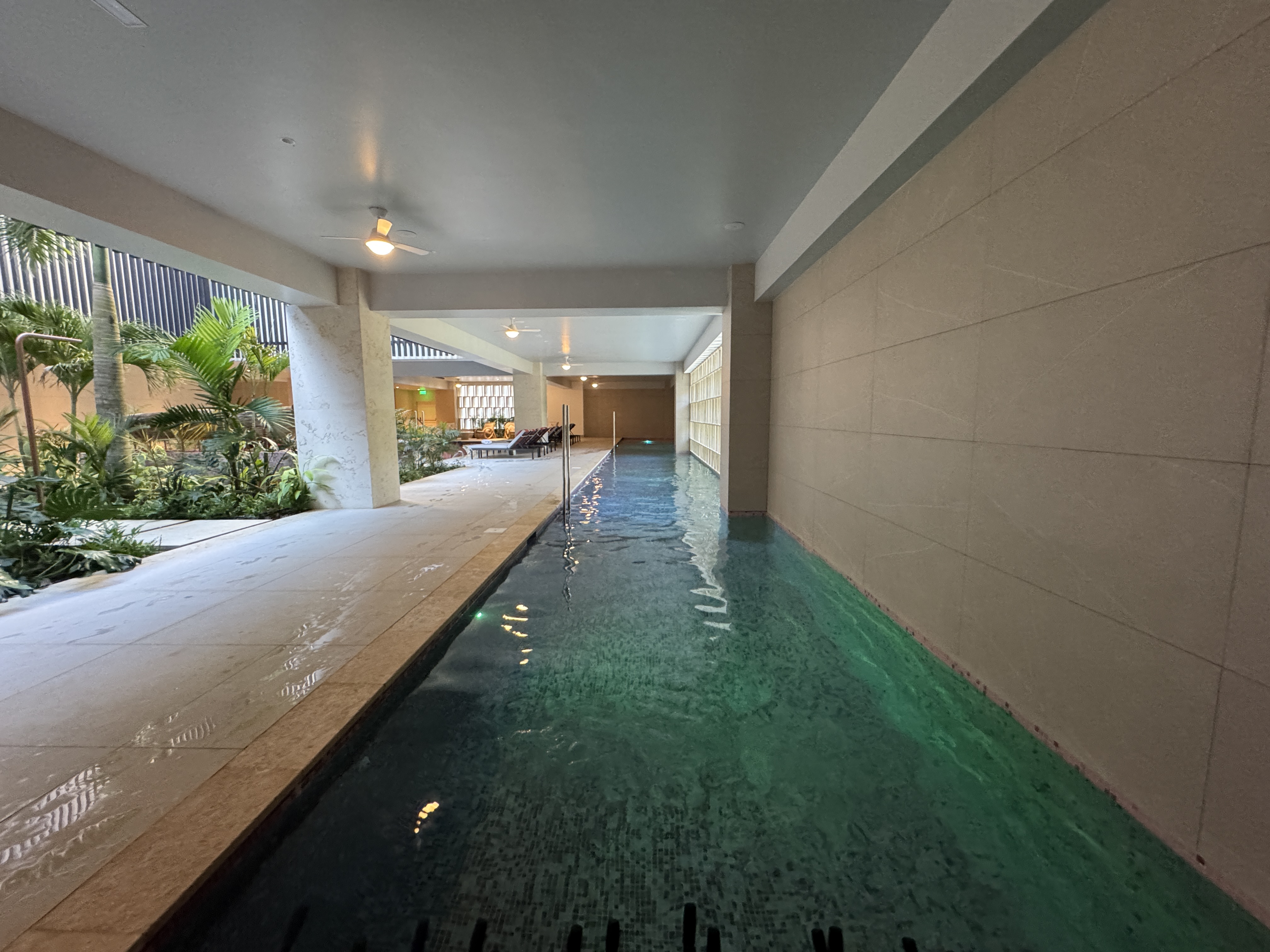 W Punta Cana lap pool W Punta Cana lap pool