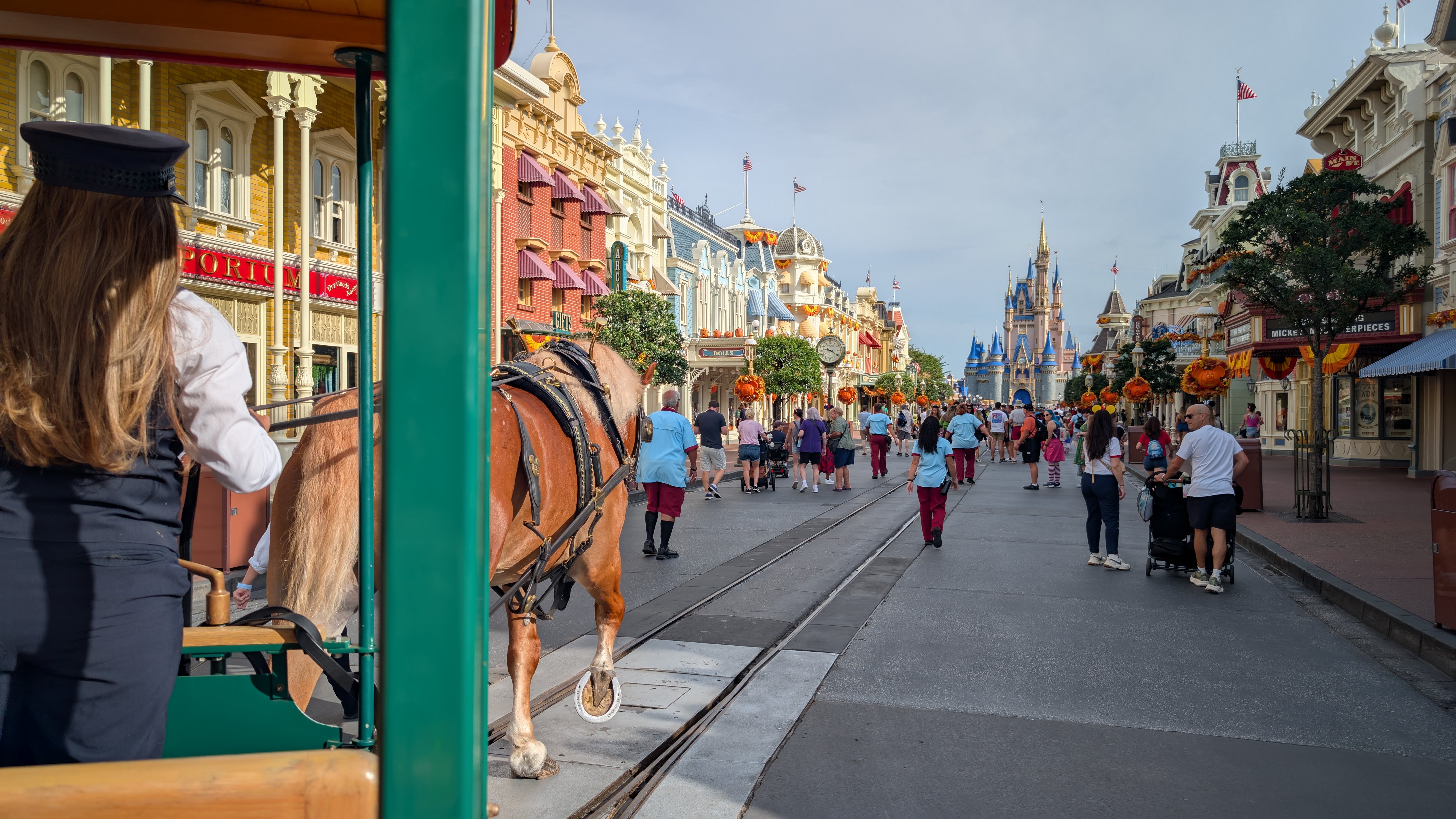 Horse and rail carriage ride in the Magic Kingdom