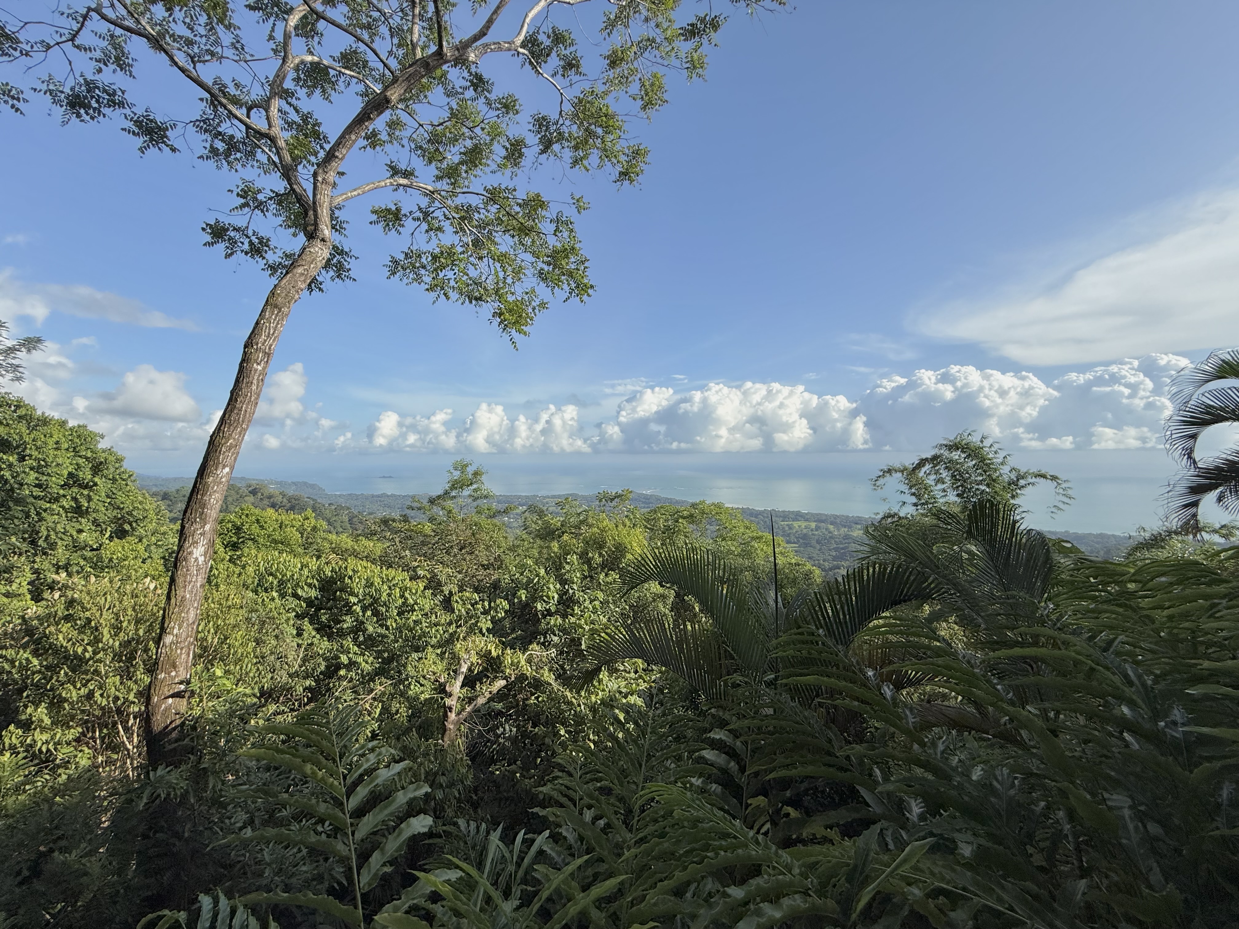 Kura Boutique Costa Rica suite view