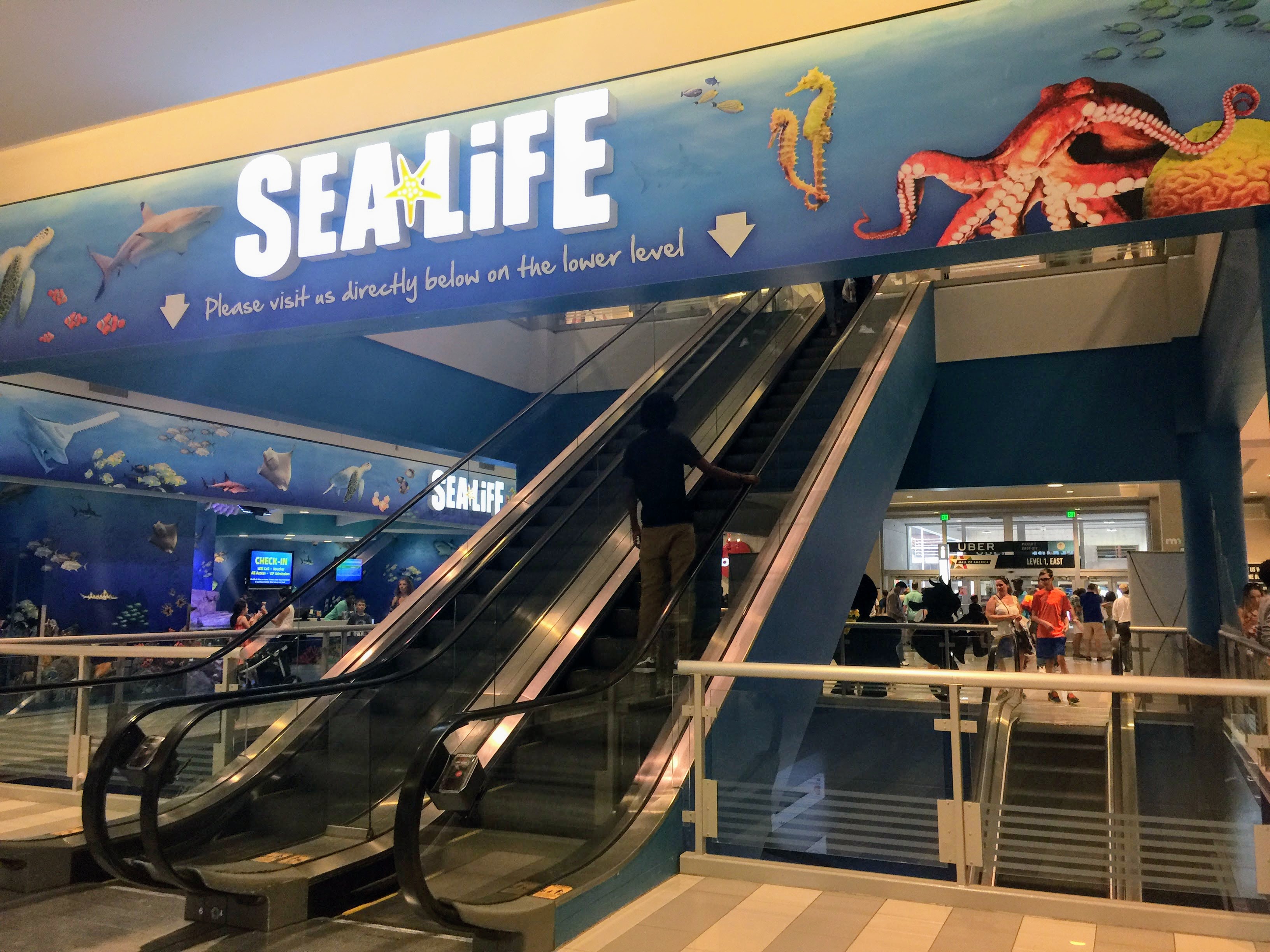SEA LIFE Aquarium Mall of America SEA LIFE Aquarium Mall of America