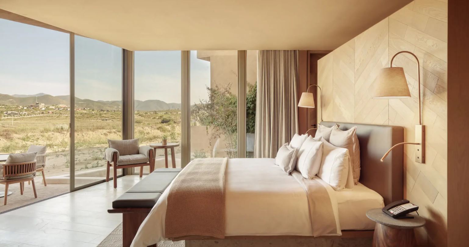 Banyan Tree Veya Valle De Guadalupe Banyan Tree Veya Valle De Guadalupe
