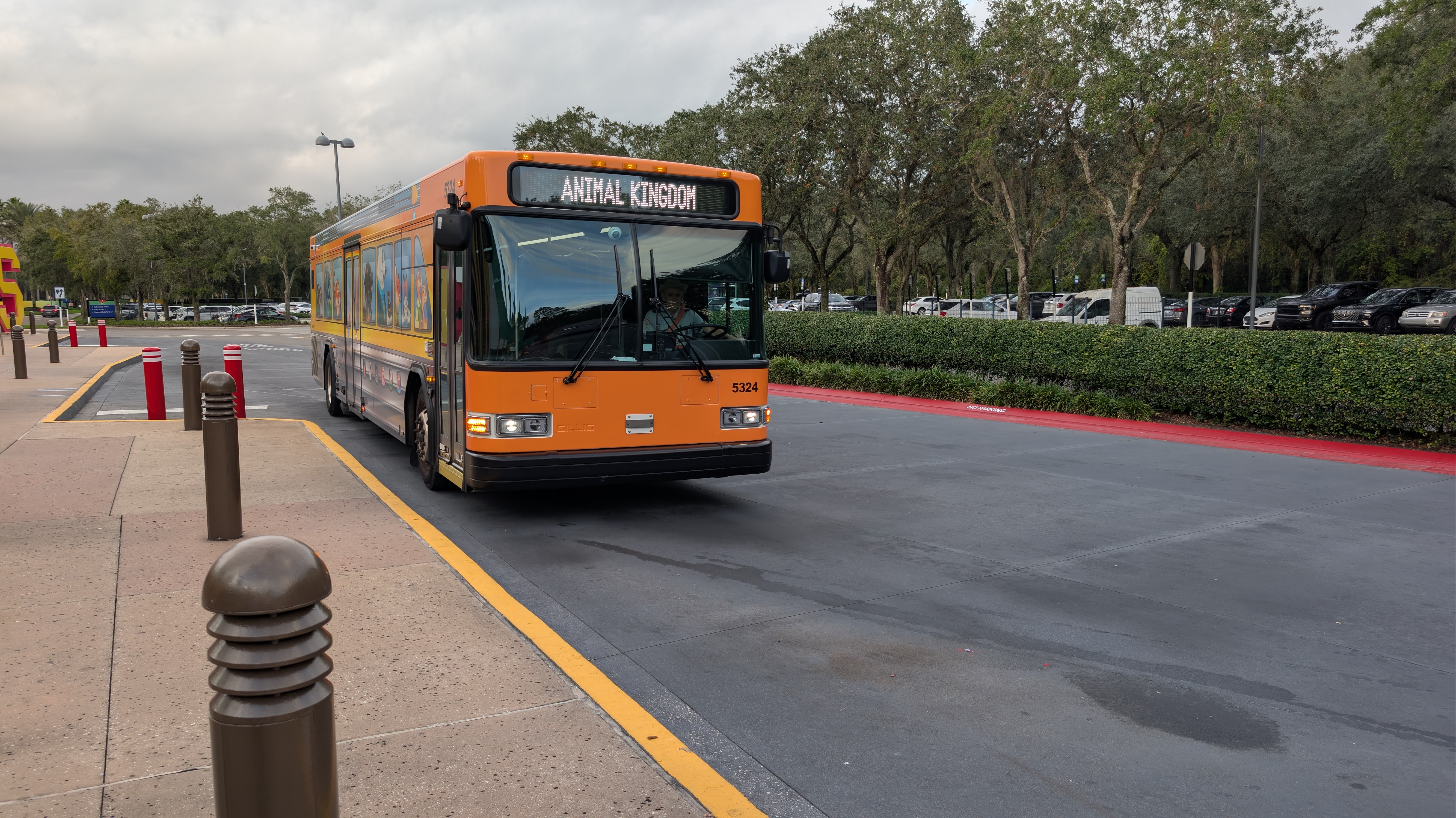 Disney's All Star Sports Resort bus transportation