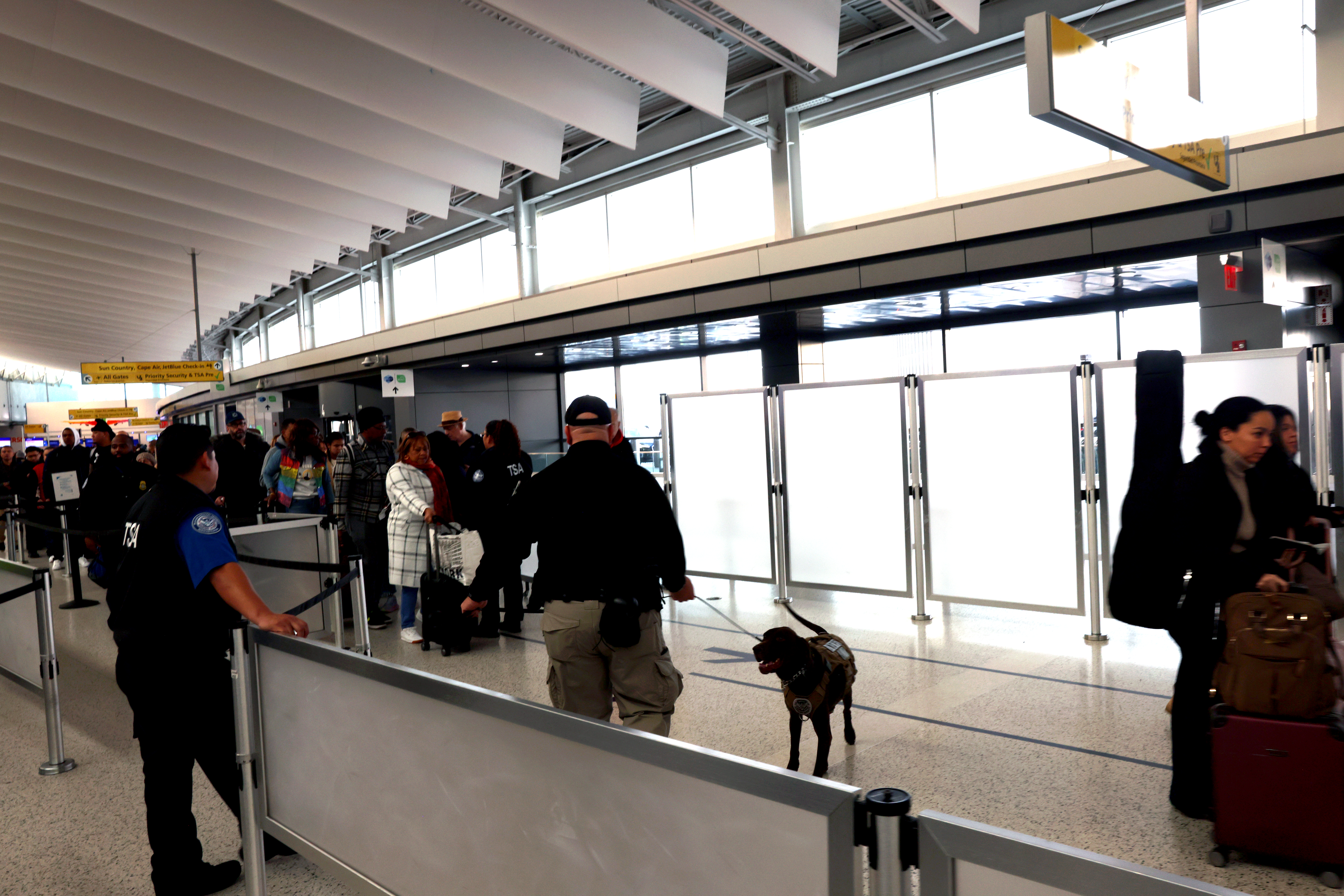 JFK security dog
