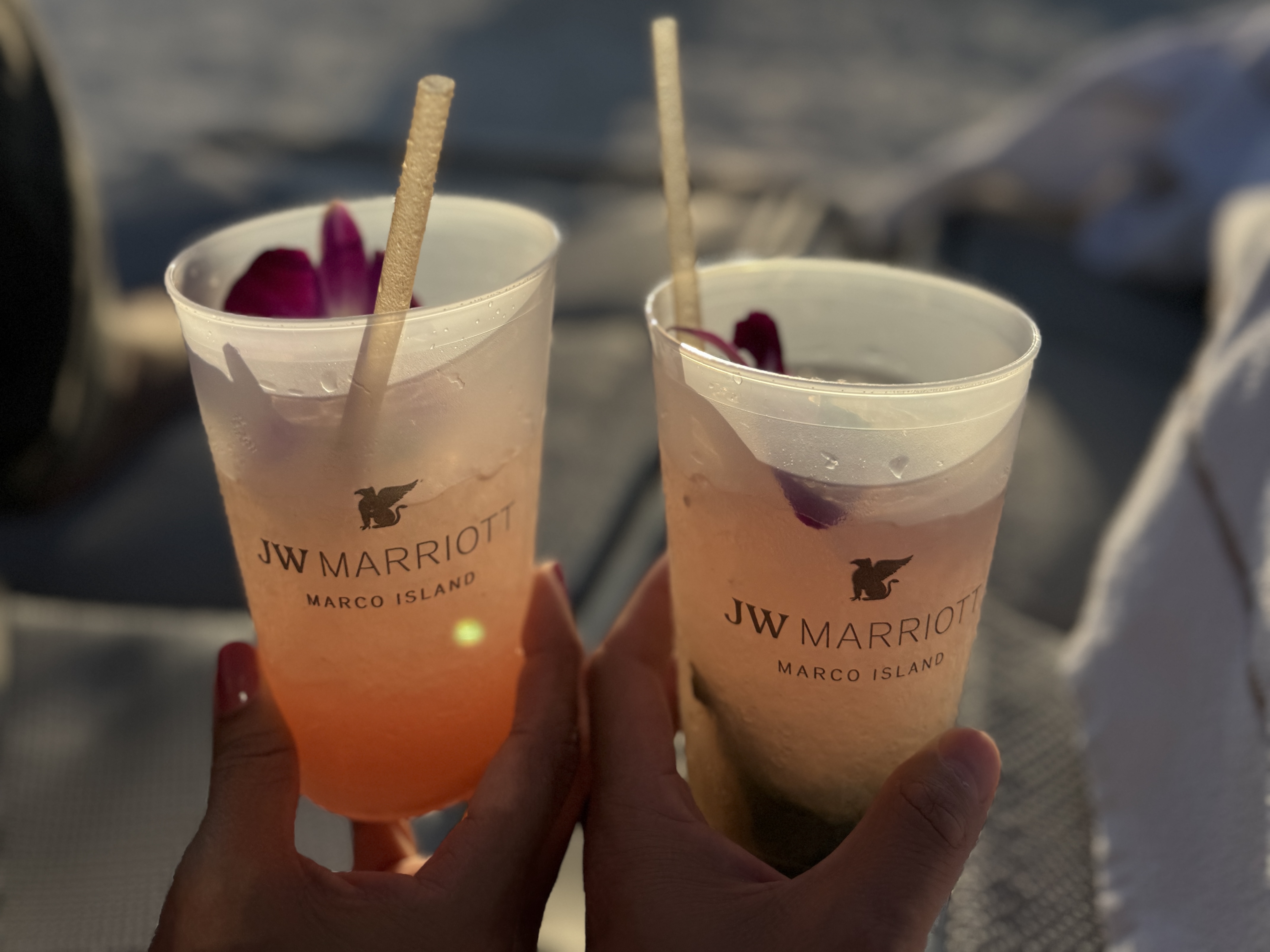 JW Marco Island Drinks