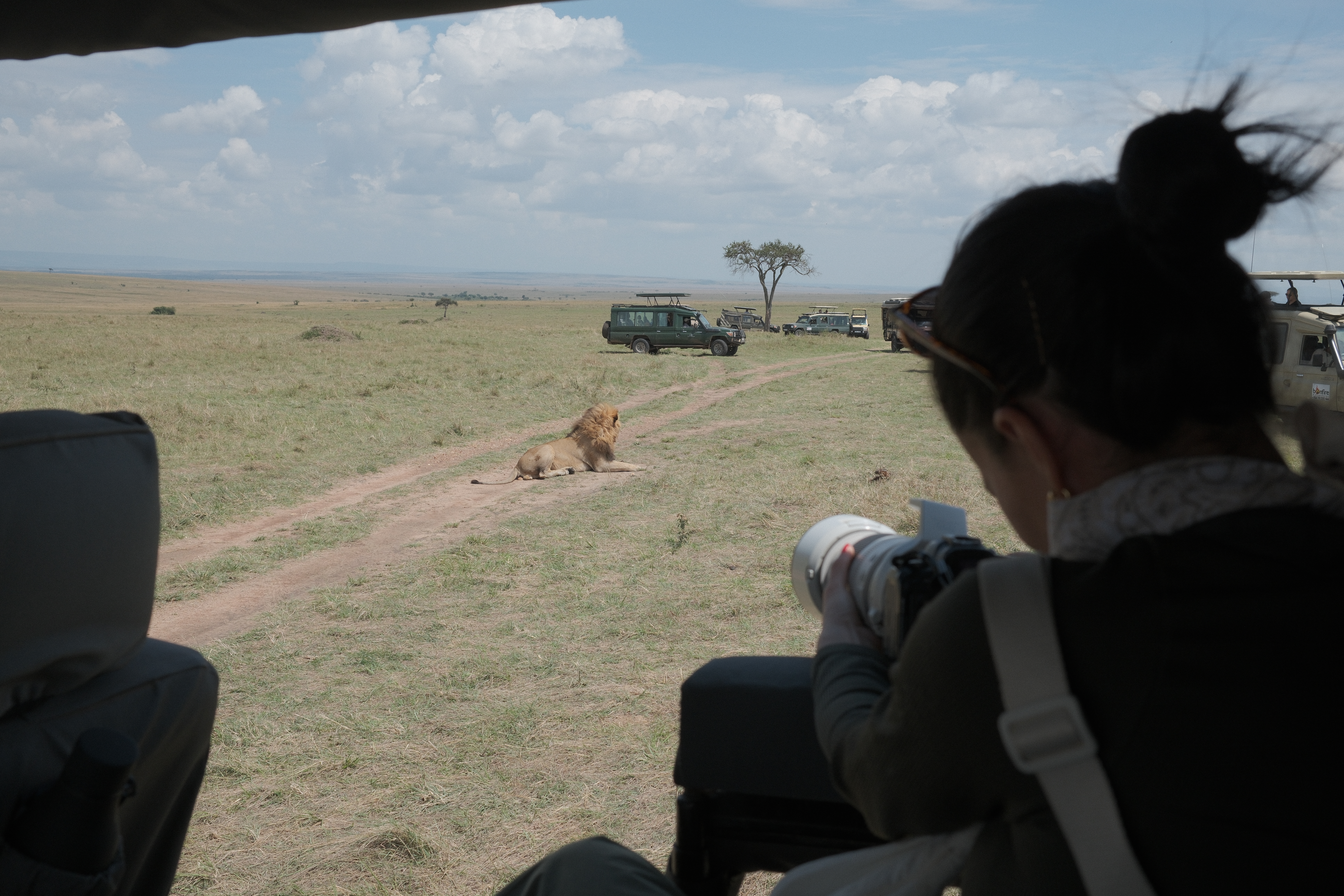 val lion mara