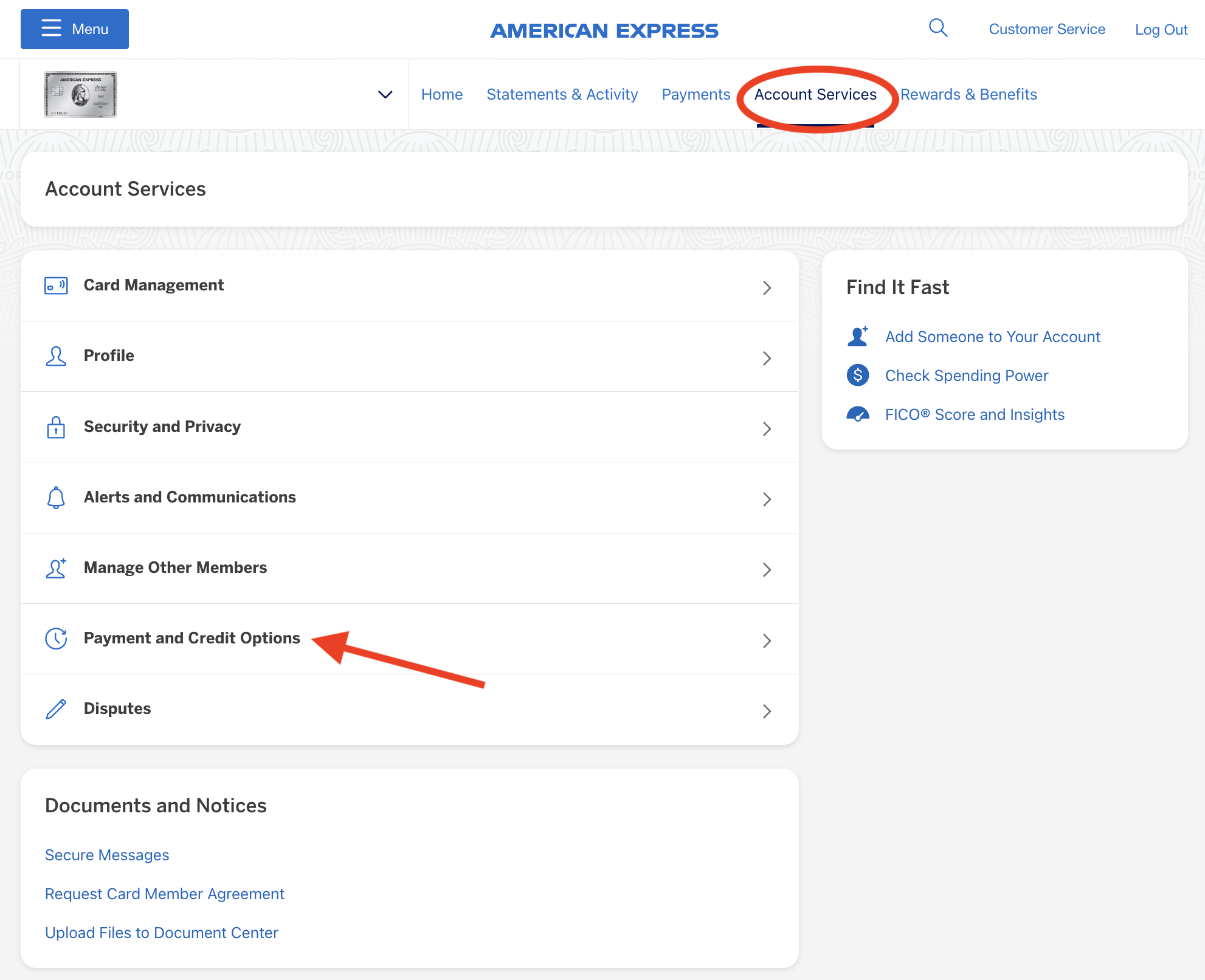 Amex Platinum card payment credit options