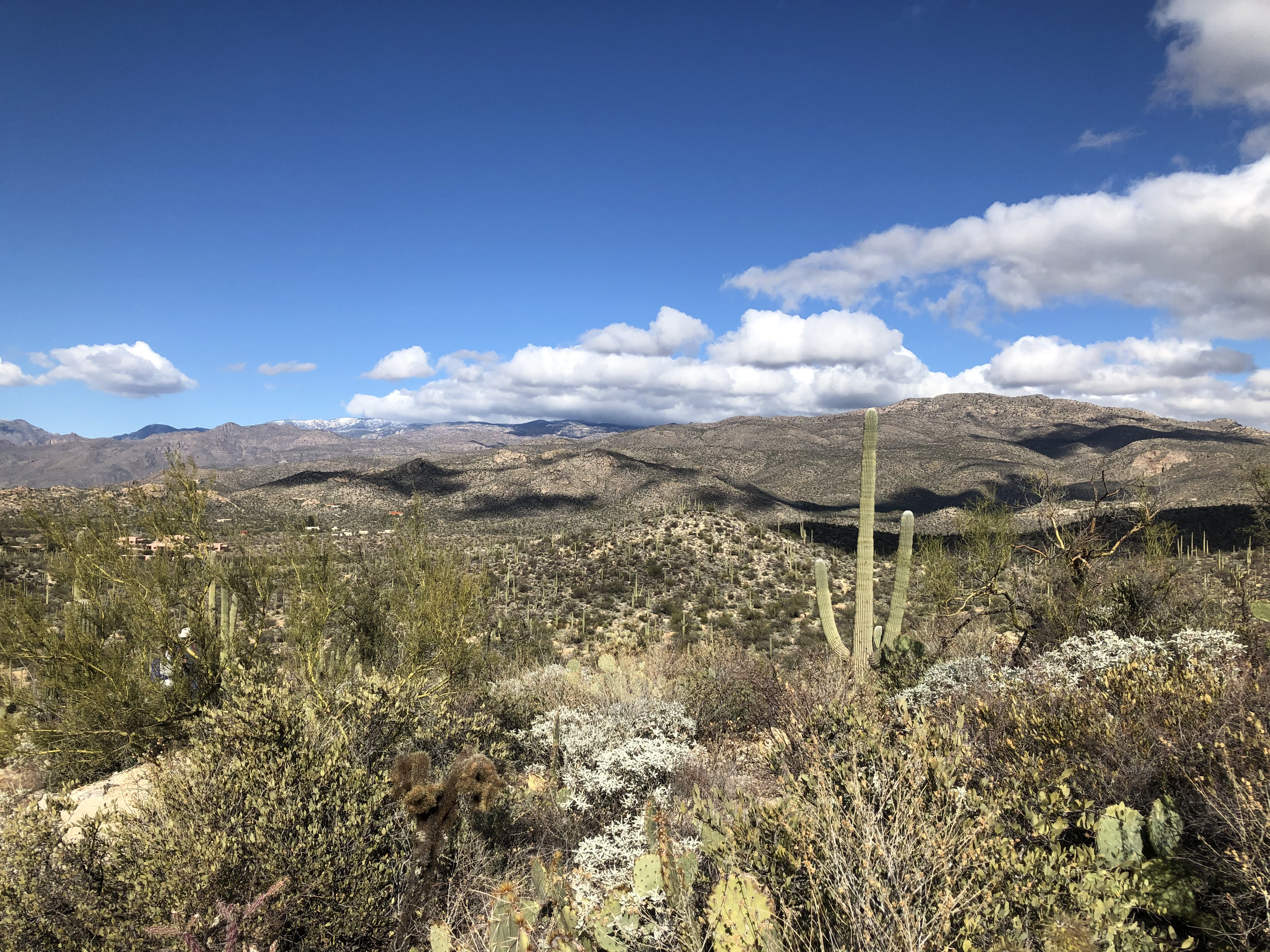 Douglas Trail Saguaro National Park Douglas Trail Saguaro National Park