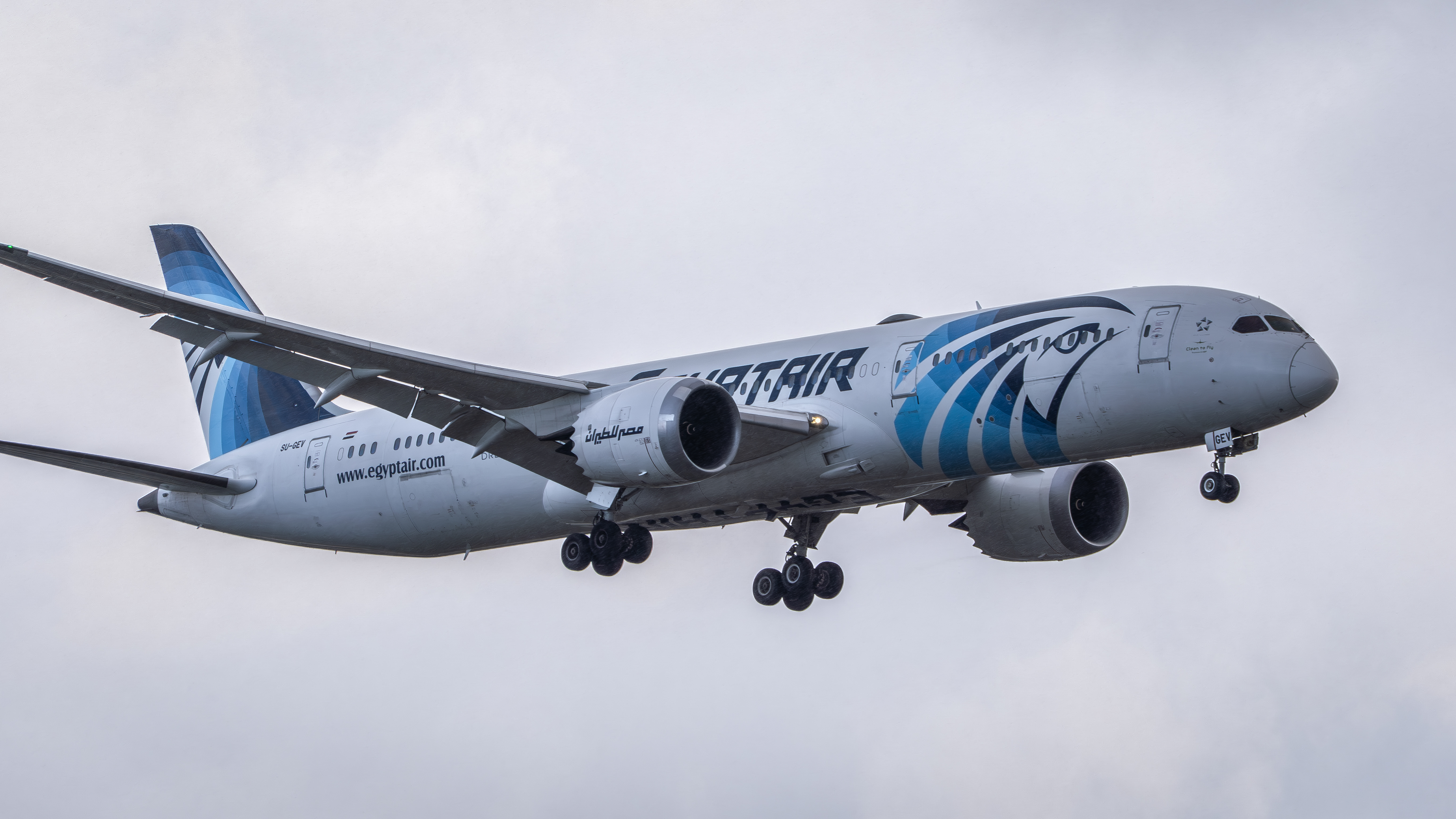 EgyptAir 787 9 Dreamliner EgyptAir 787 9 Dreamliner