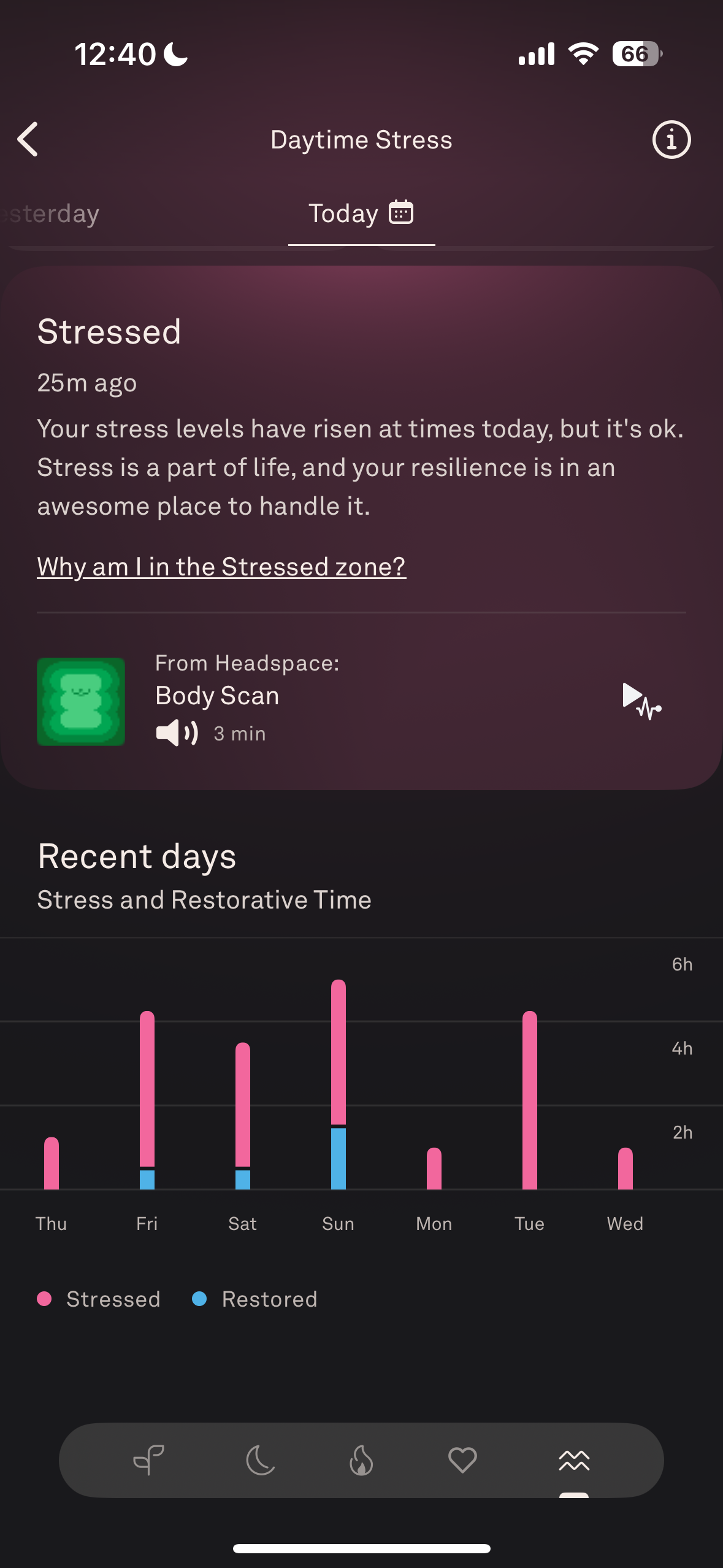 Oura Ring stats