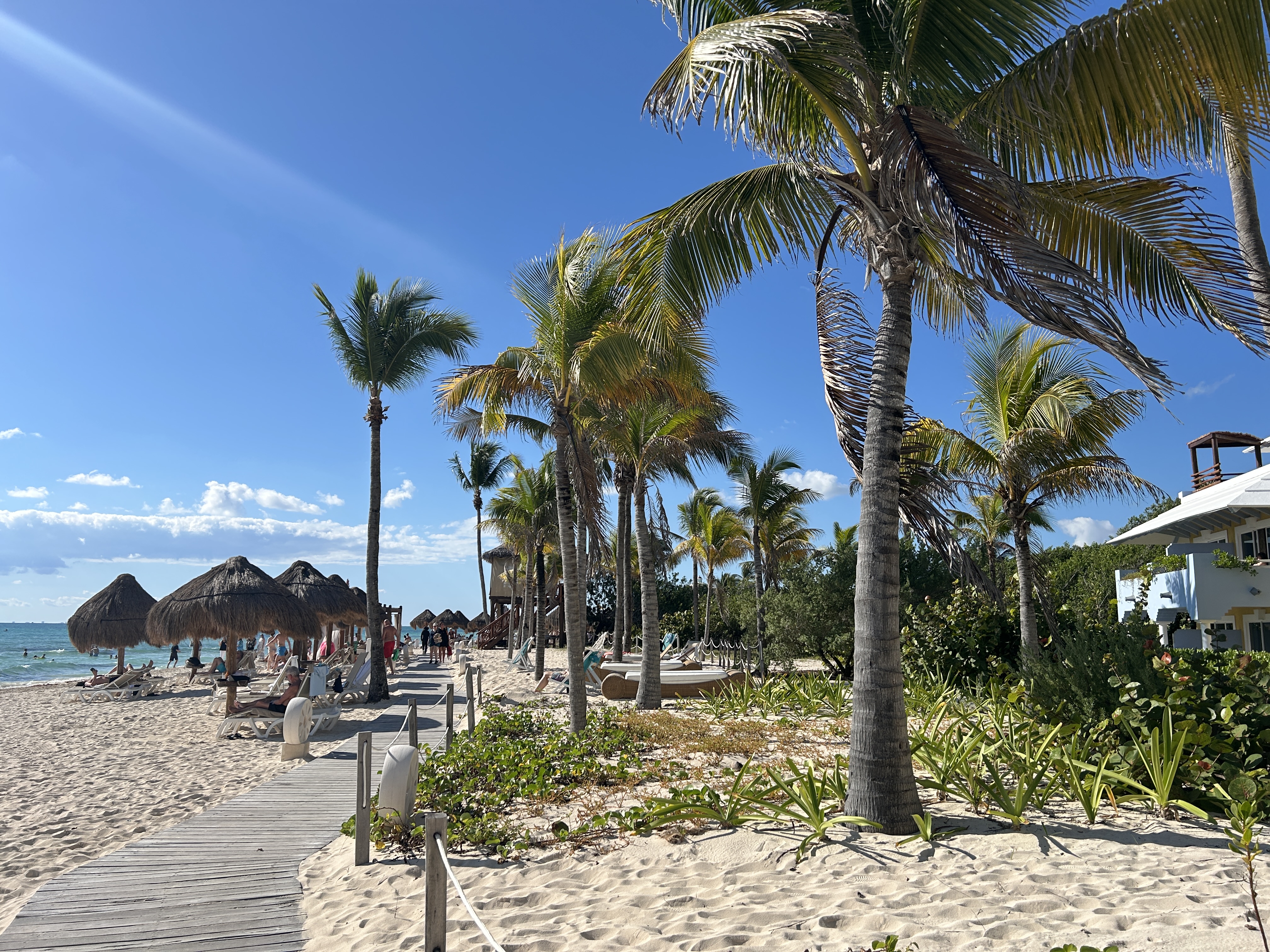 Iberostar Waves Paraiso Beach sand and sun
