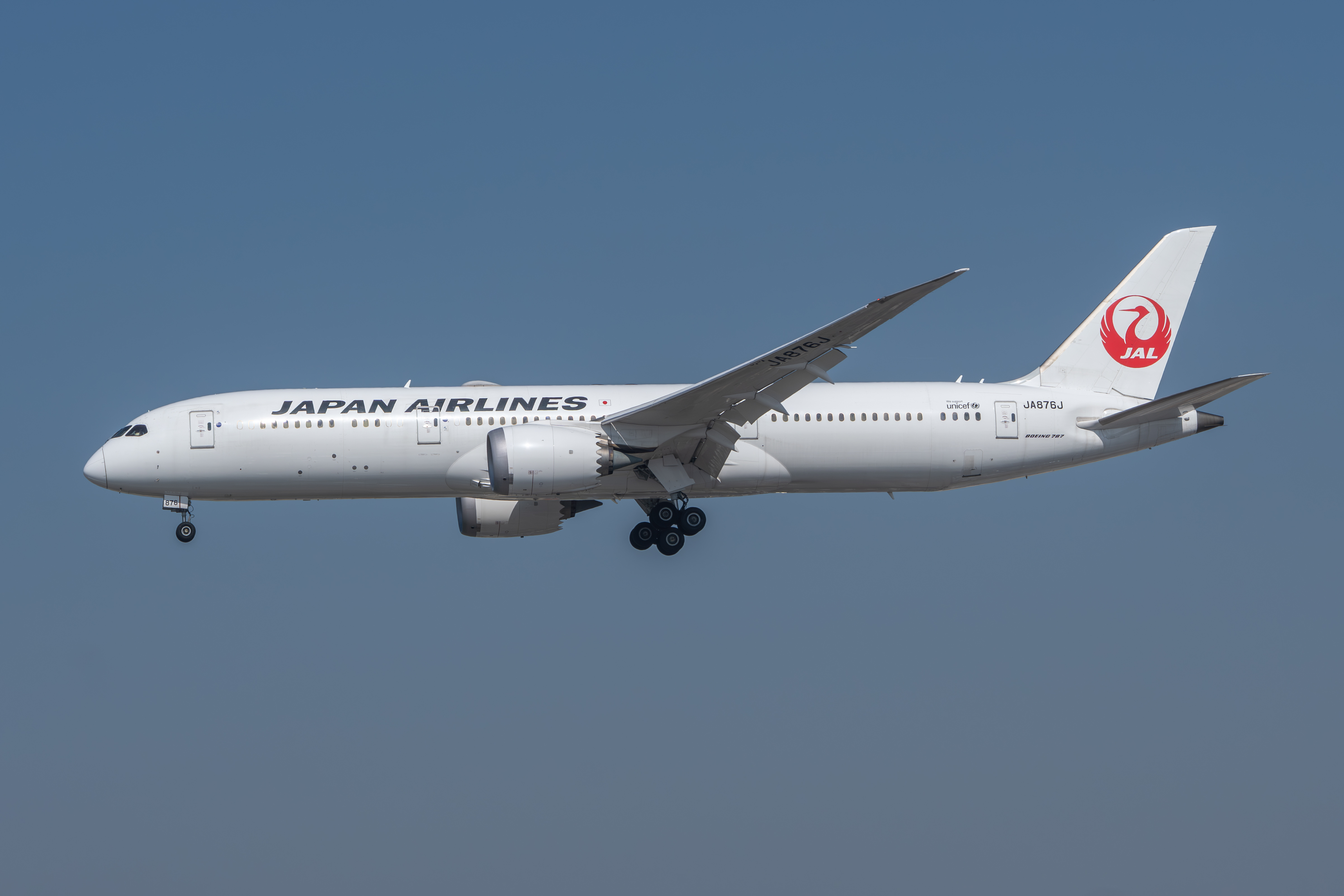 Japan Airlines 787 Dreamliner