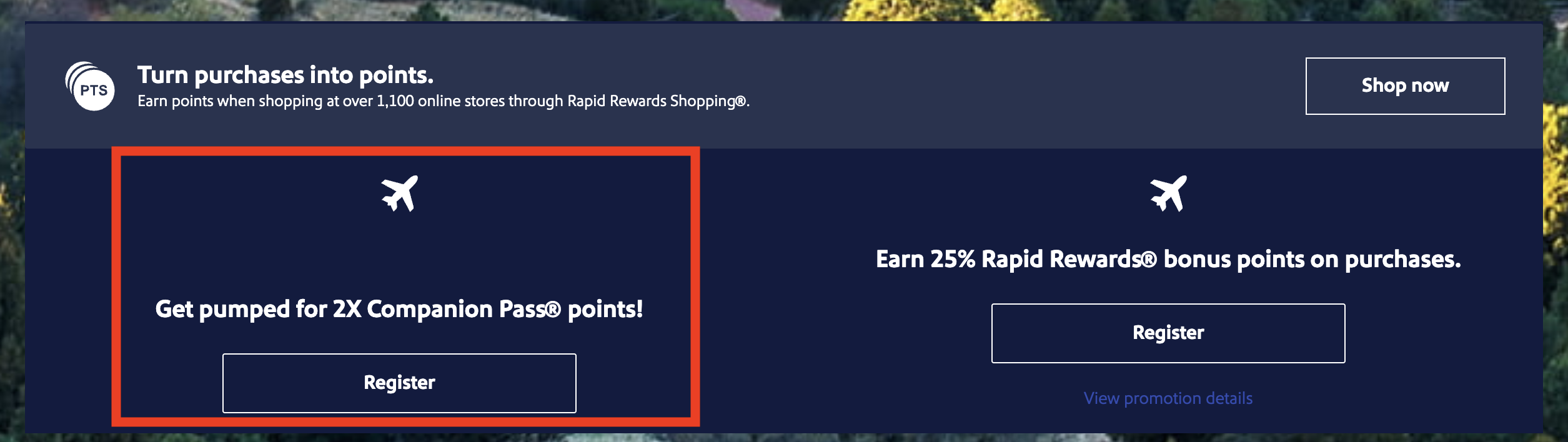 Southwest Companion Pass promotion Register for double Companion Pass points bonus