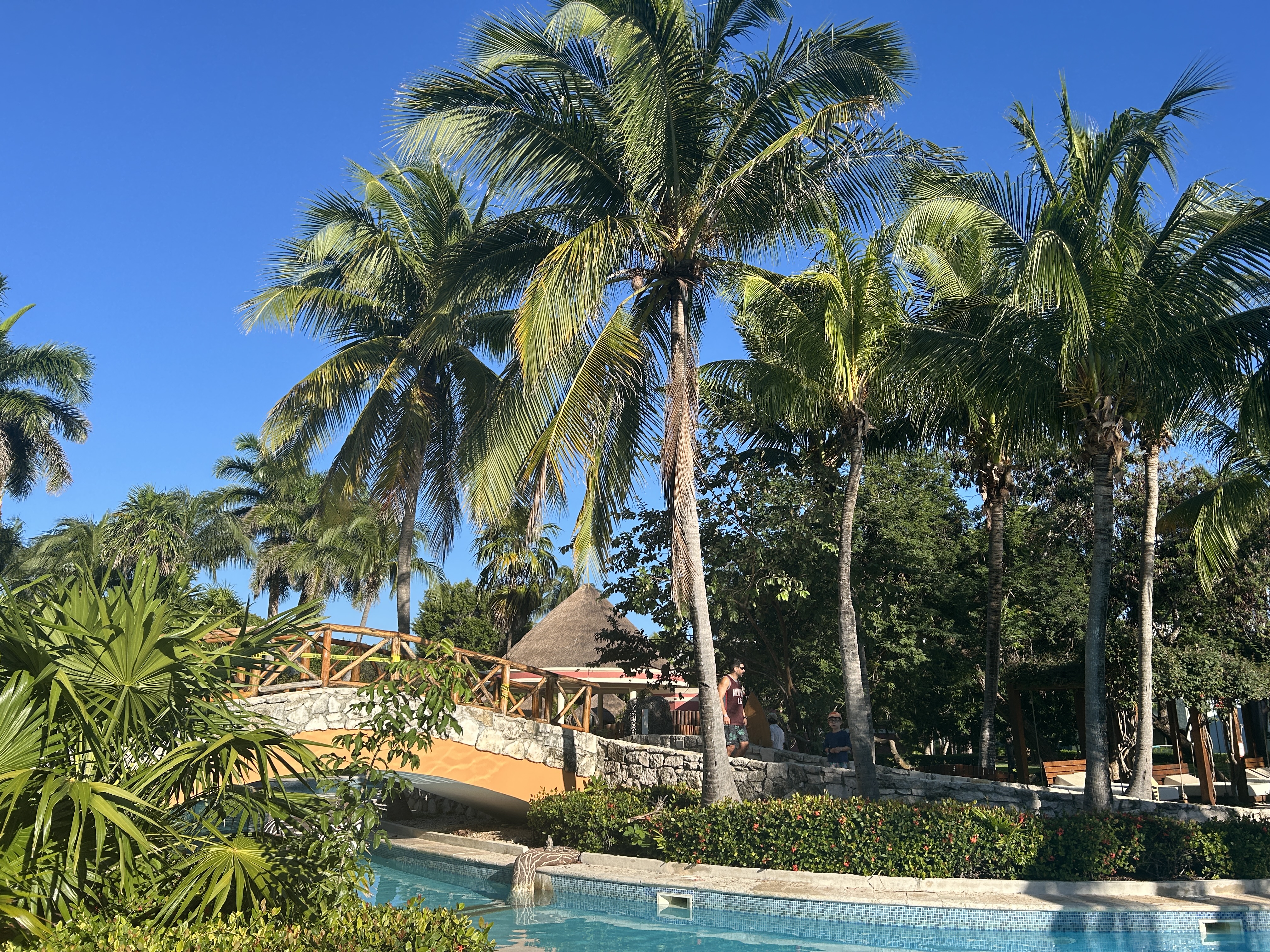 Tropical vibes Iberostar Waves Paraiso Beach