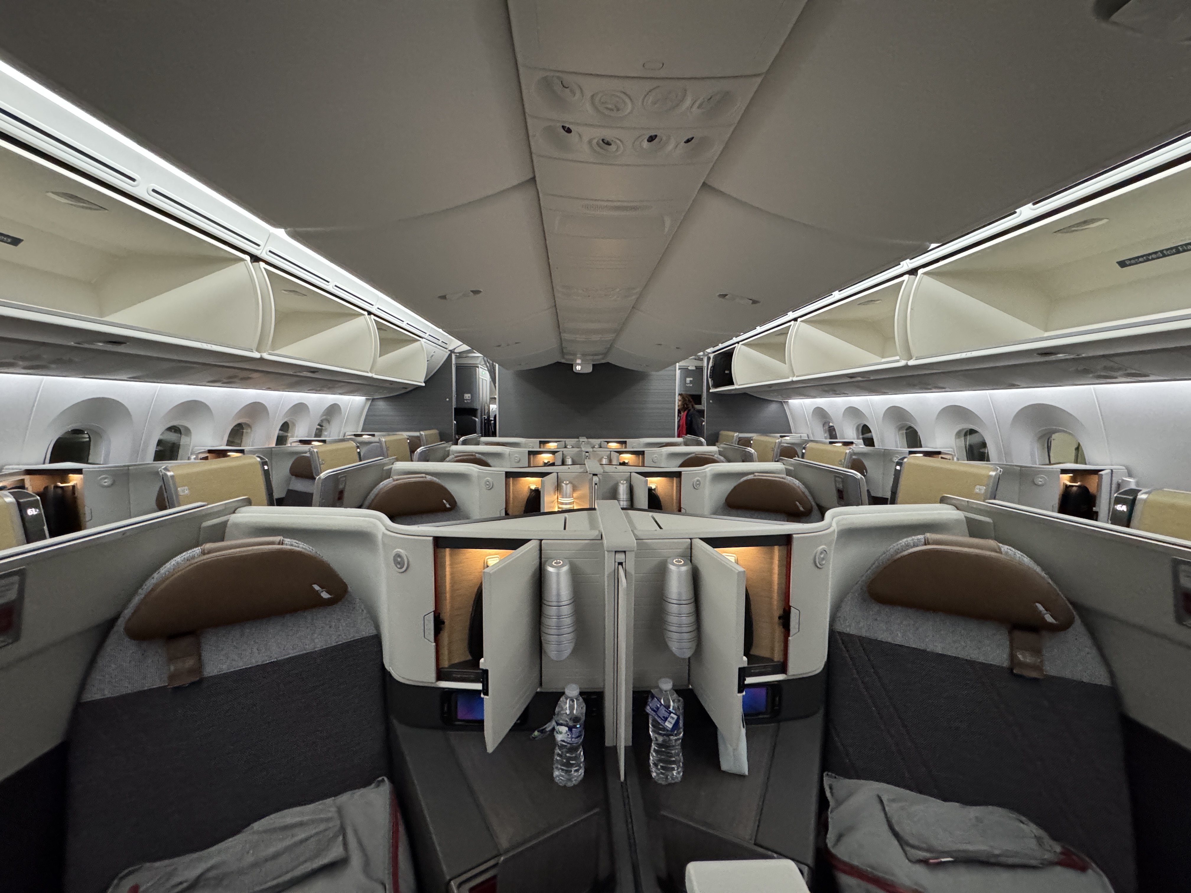 AA Flagship Suite Business Class cabin view