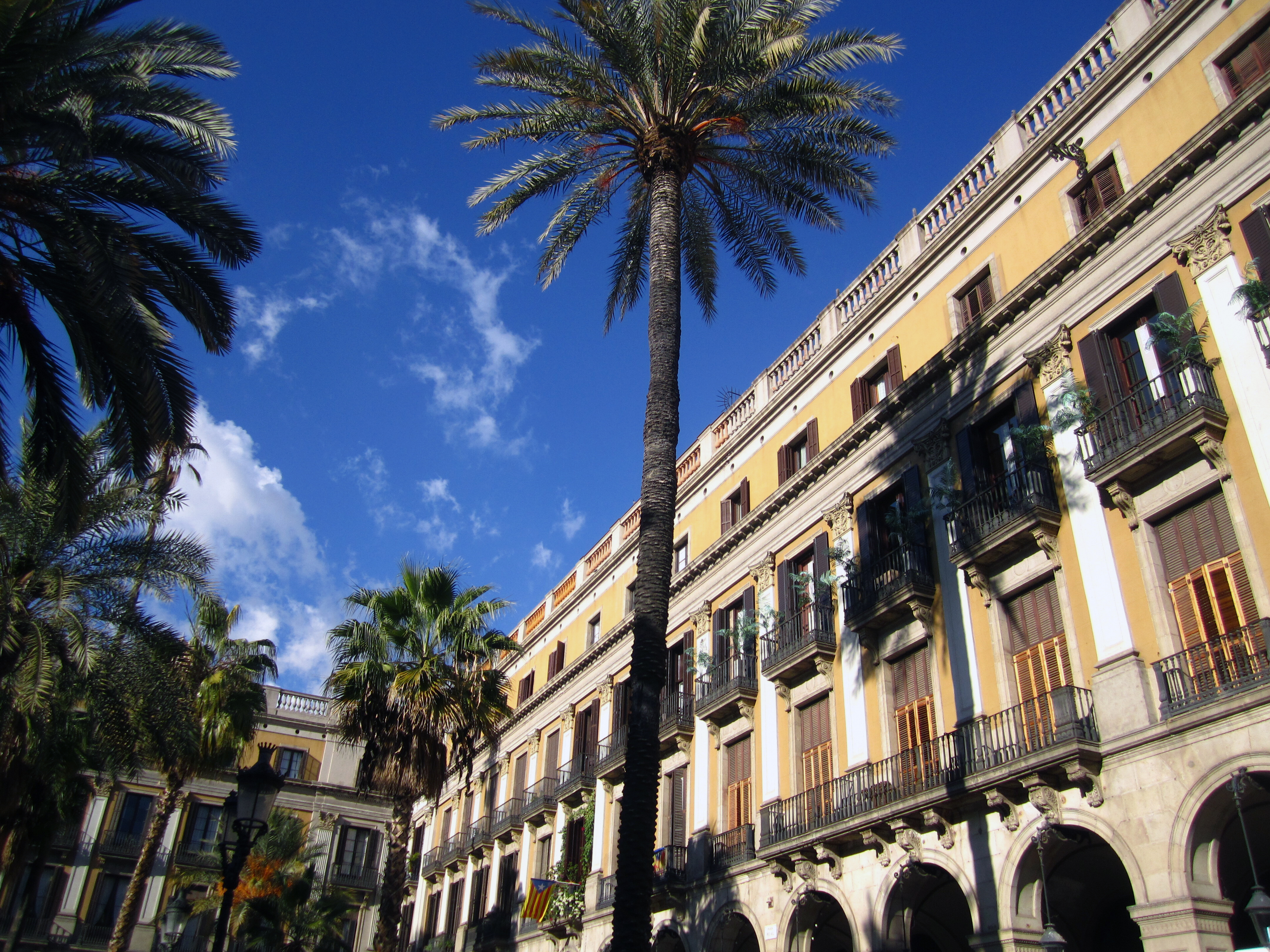 Barcelona palm trees yellow building Lori Zaino Barcelona palm trees yellow building Lori Zaino