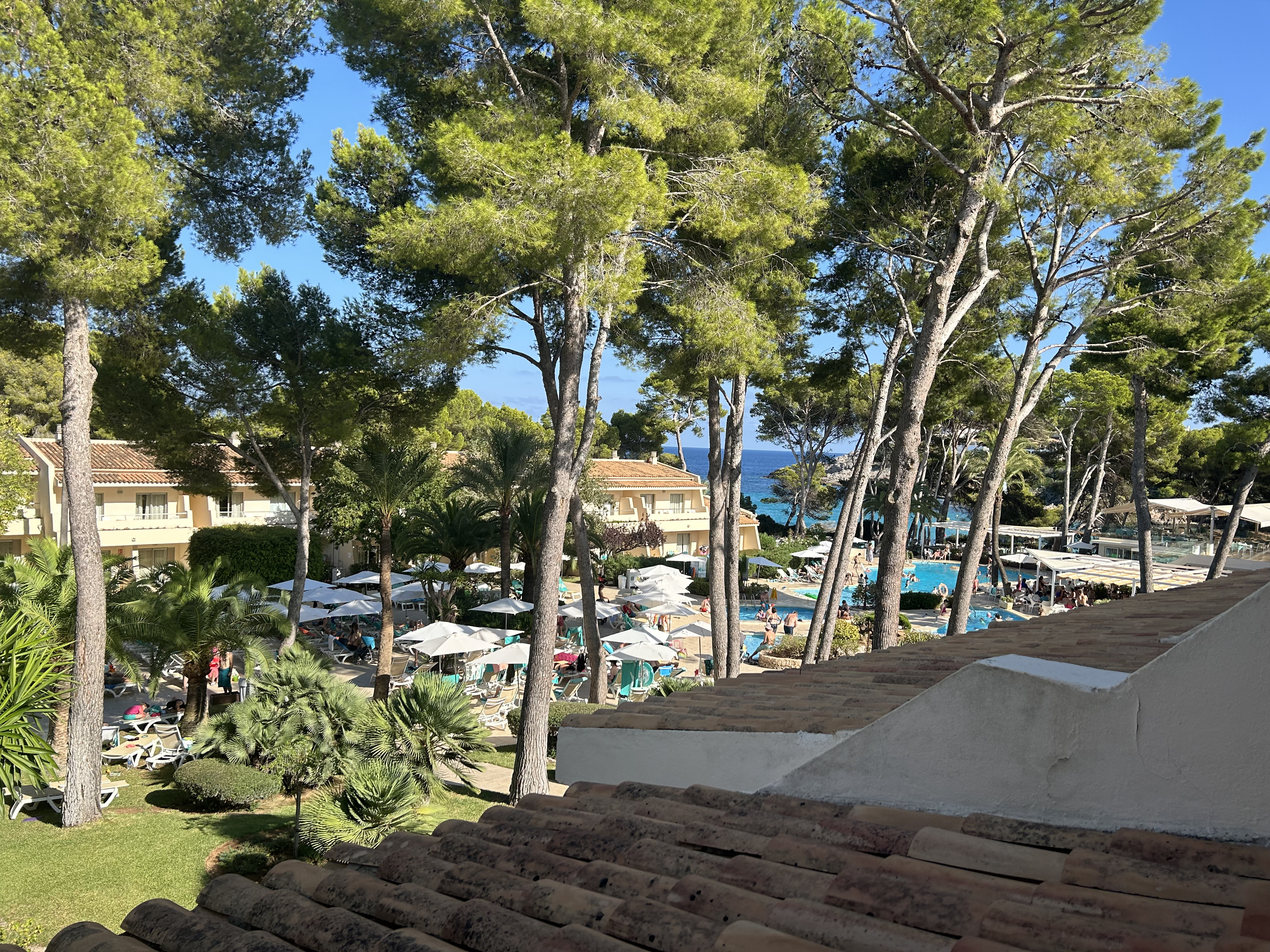 Iberostar Pinos Park (2)