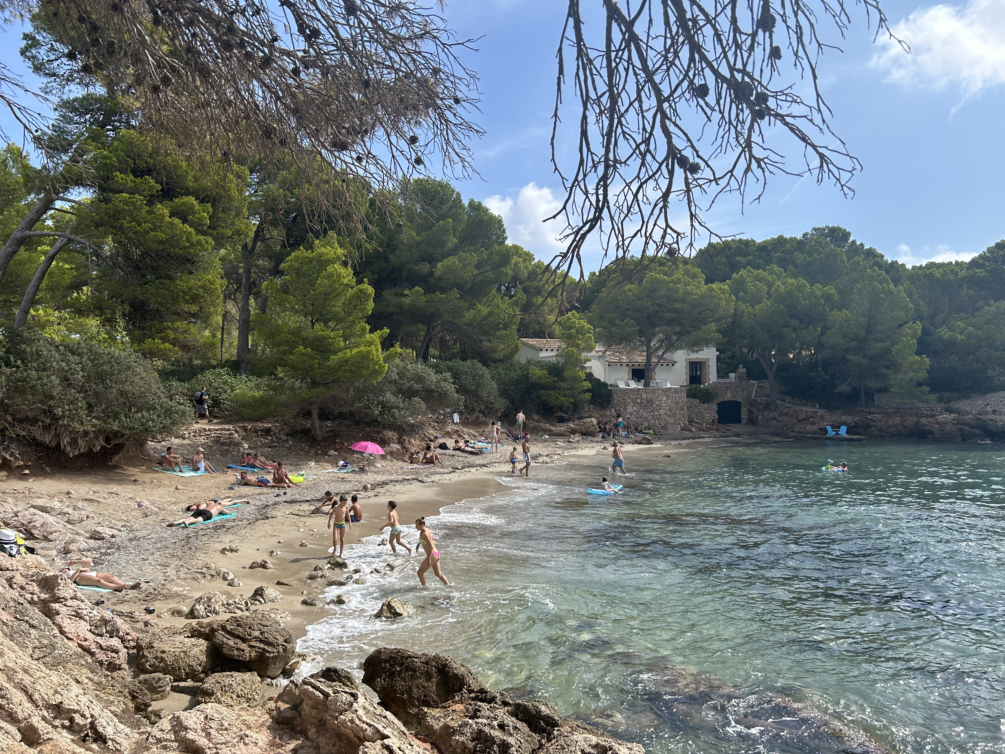 Iberostar Pinos Park (4)
