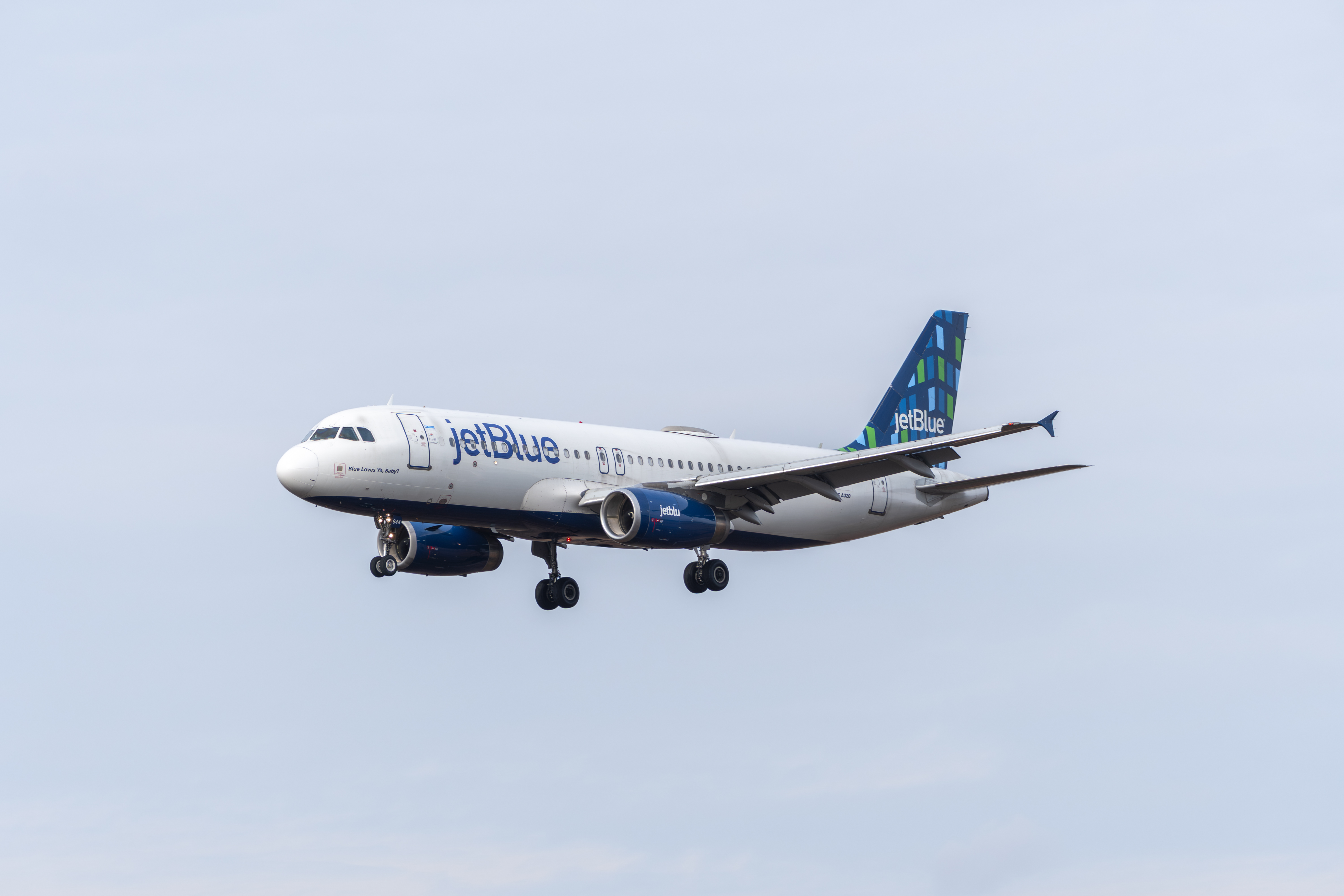 Jetblue Jetblue