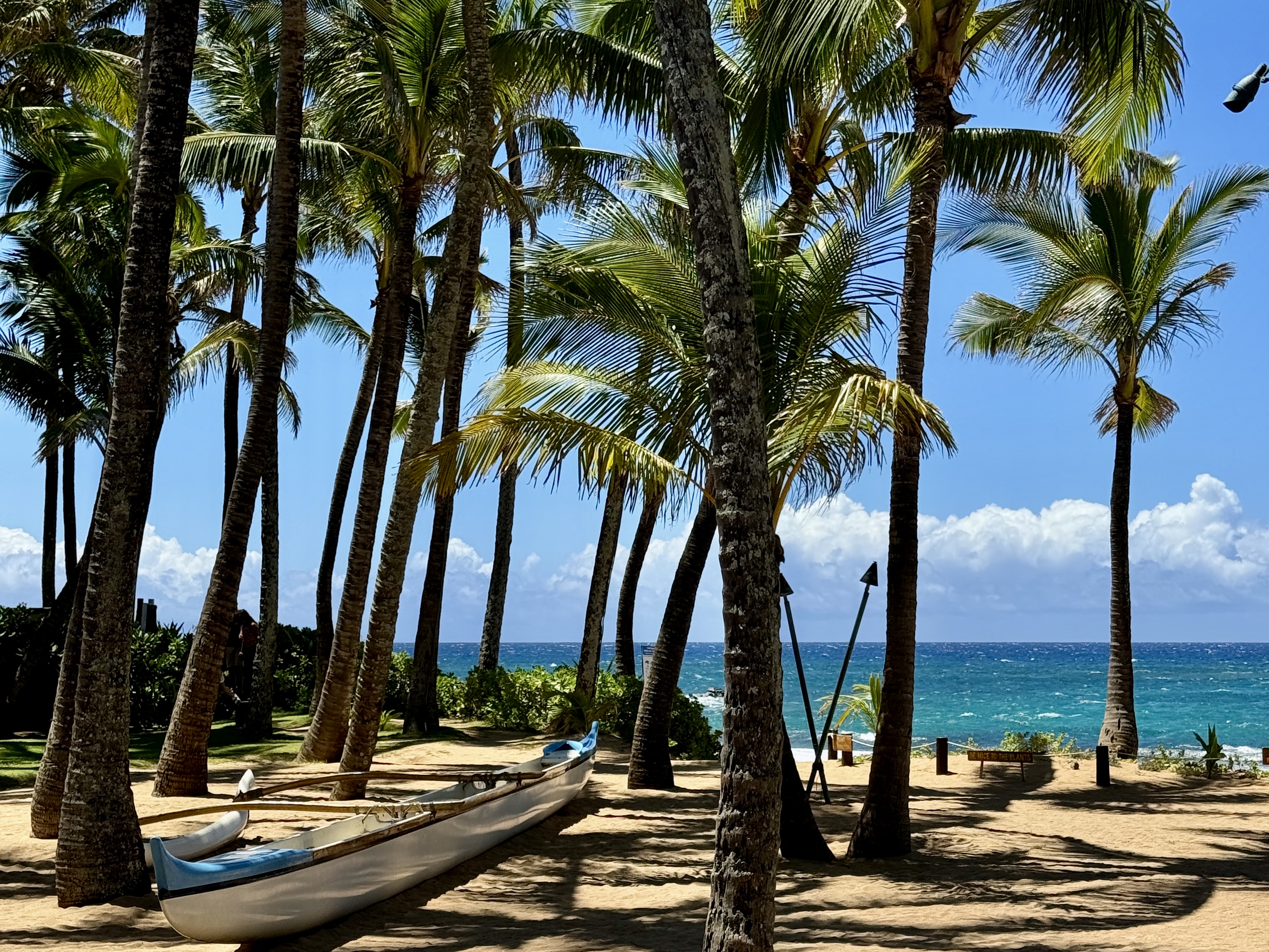 Maui Beach