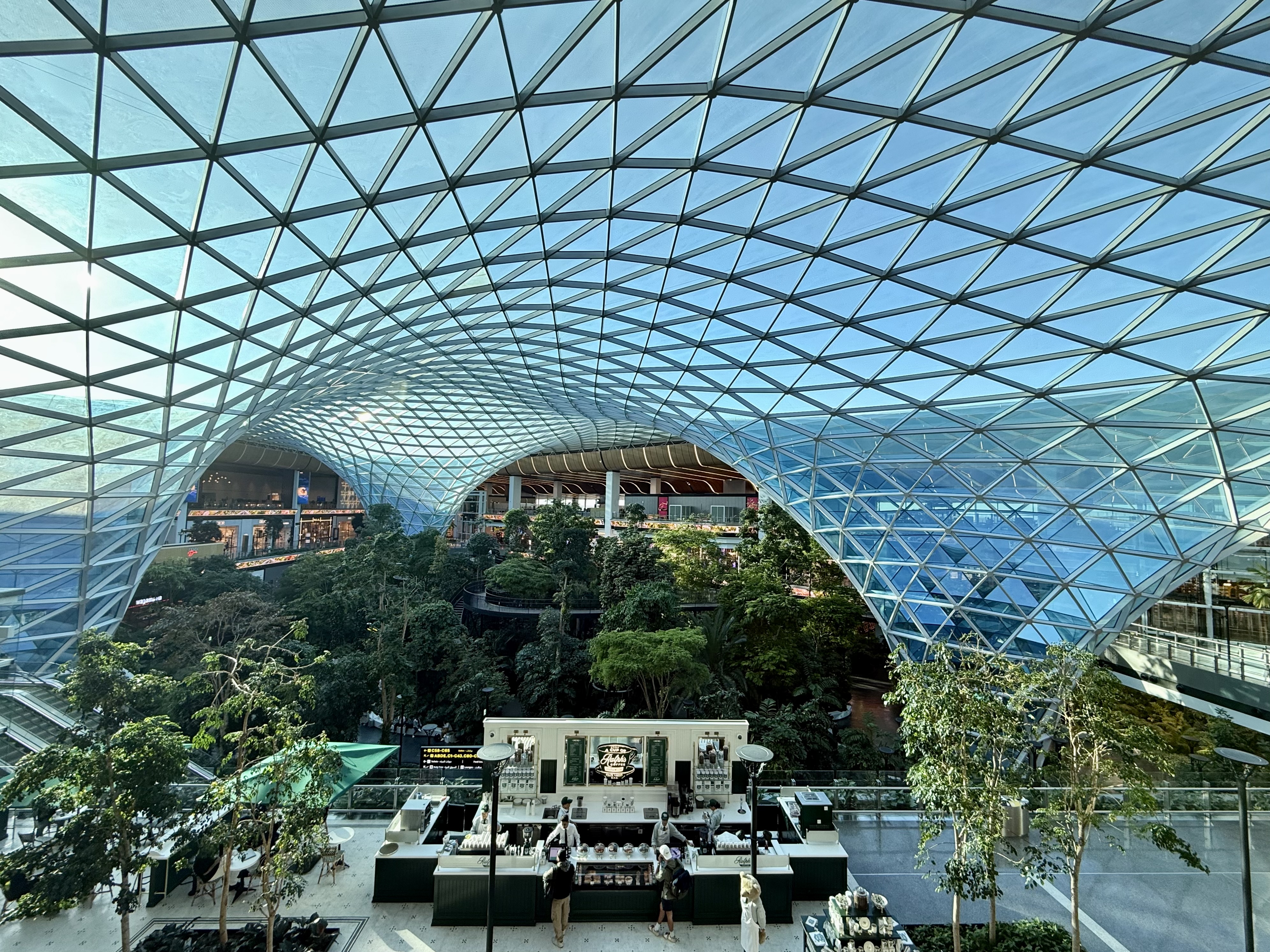 View from Qatar Airways Al Mourjan Business Class Lounge in Doha