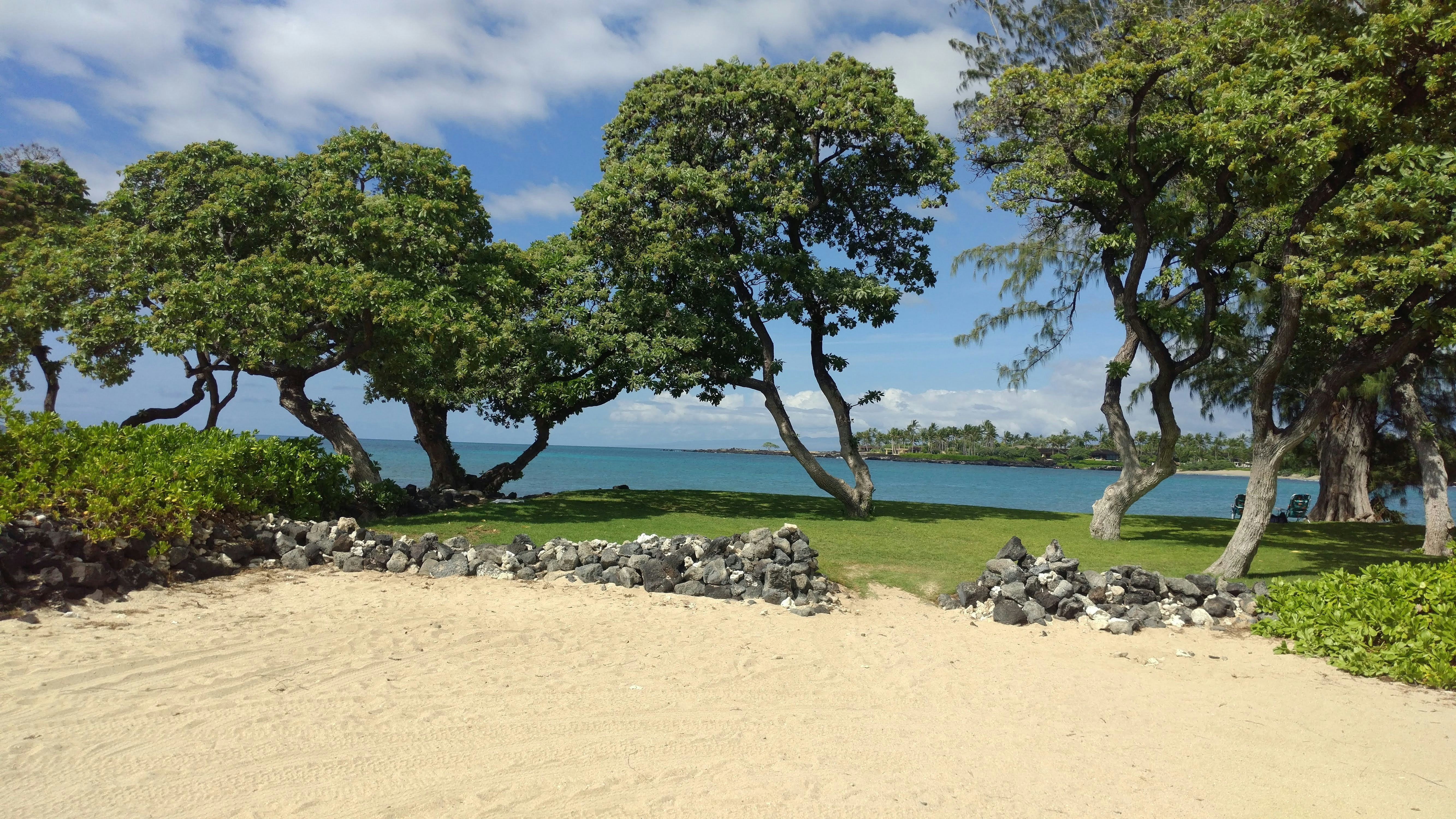 paddy kumar Hdtk8F2XlJA unsplash Hilo Hawaii