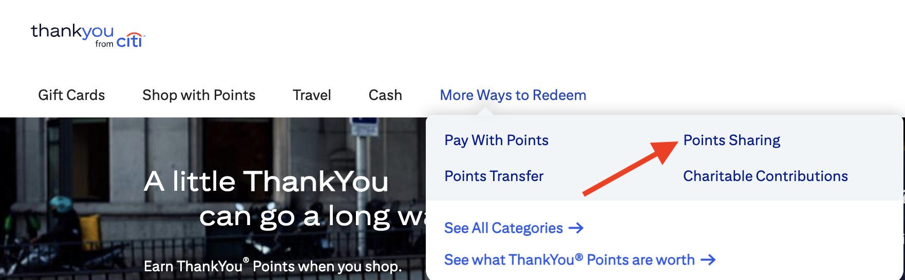 Citi points sharing option Citi points sharing option