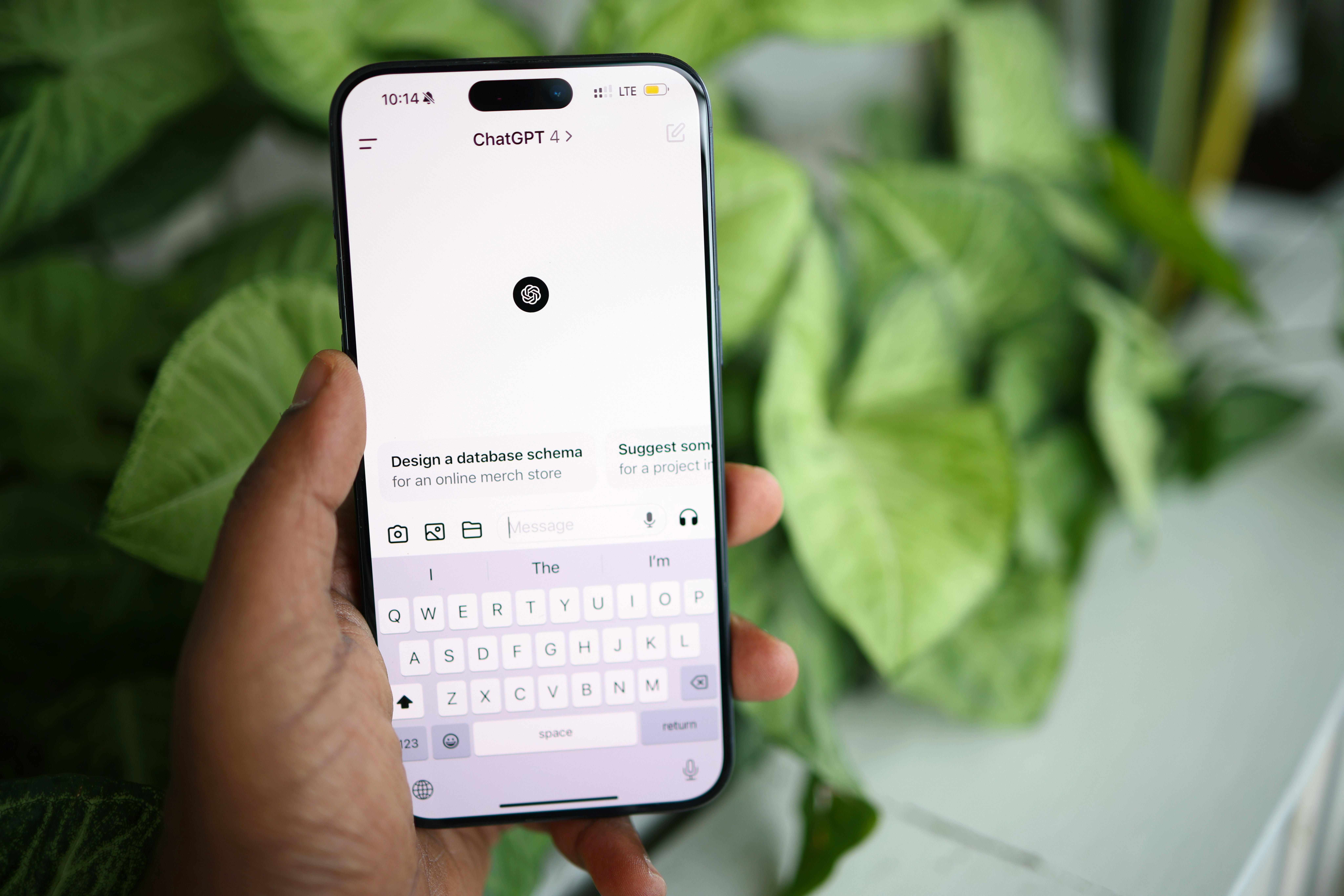 solen feyissa Aj7cDaR6QXs unsplash