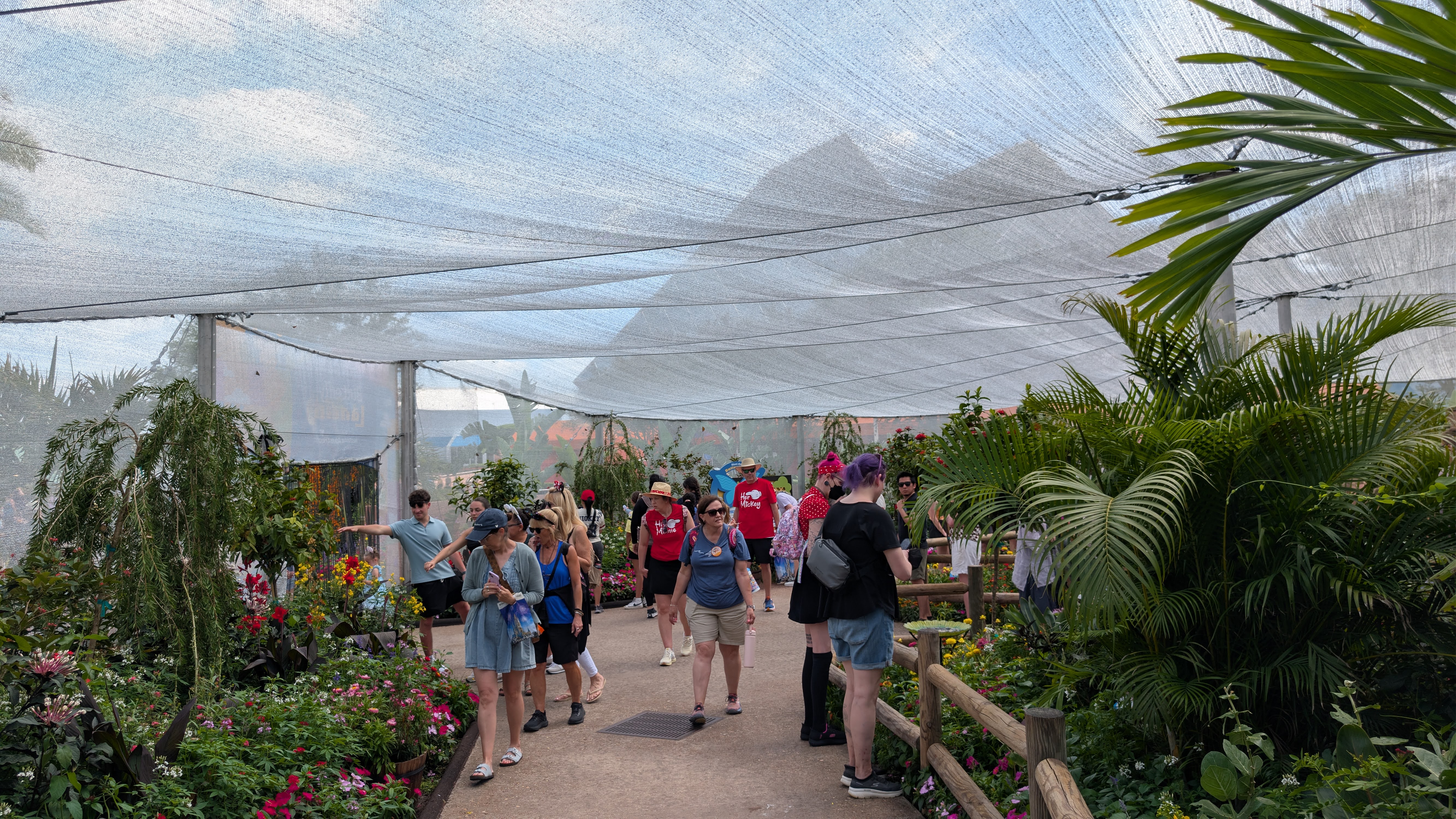 2026 EPCOT International Flower & Garden Festival Butterfly Landing 2026 EPCOT International Flower & Garden Festival Butterfly Landing