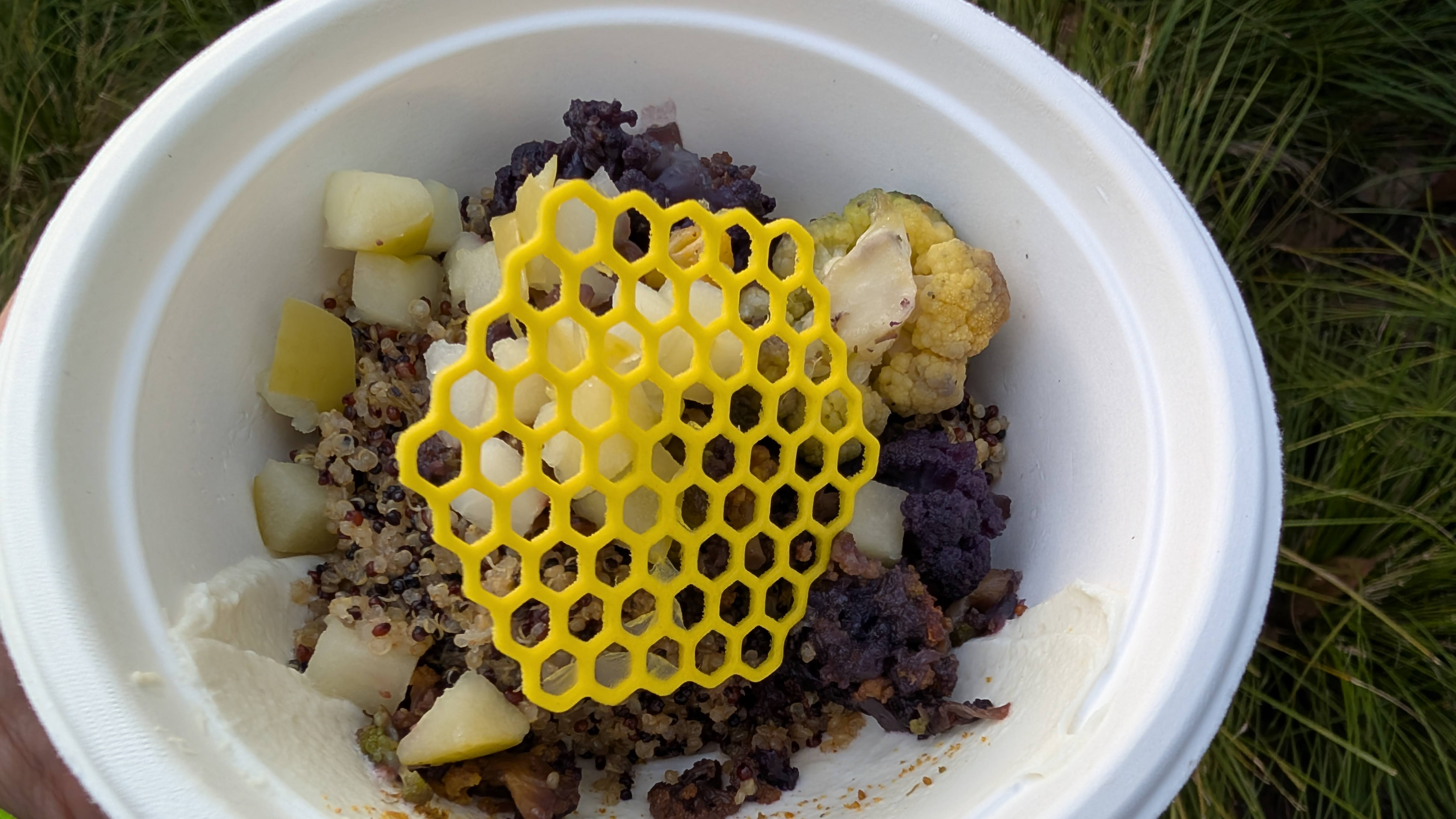 PXL 20260413 232709962 2026 EPCOT International Flower & Garden Festival Honey Bee stro honeycomb bowl