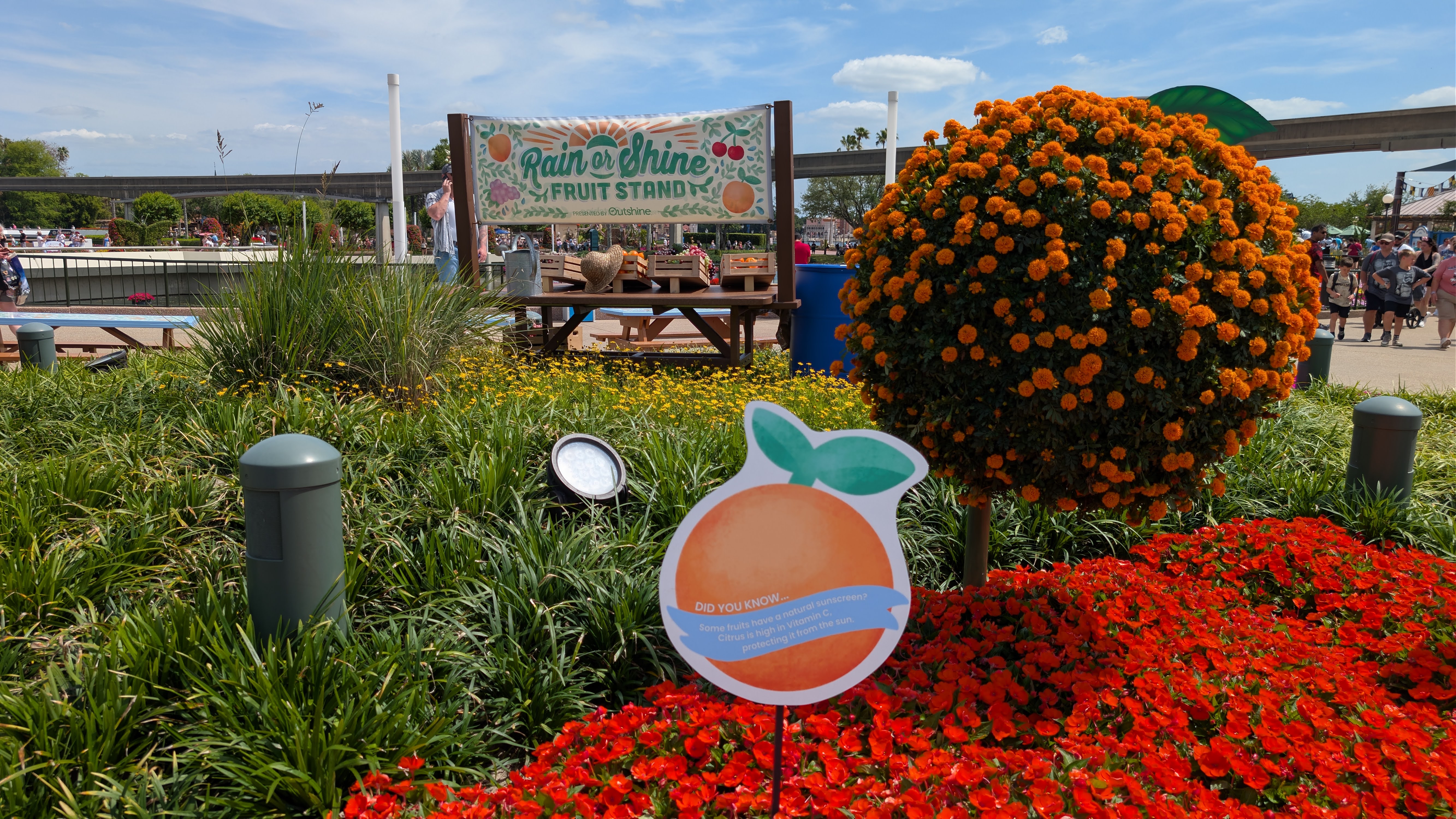 PXL 20260413 185938629 2026 EPCOT International Flower & Garden Festival Rain or Shine Fruit Stand