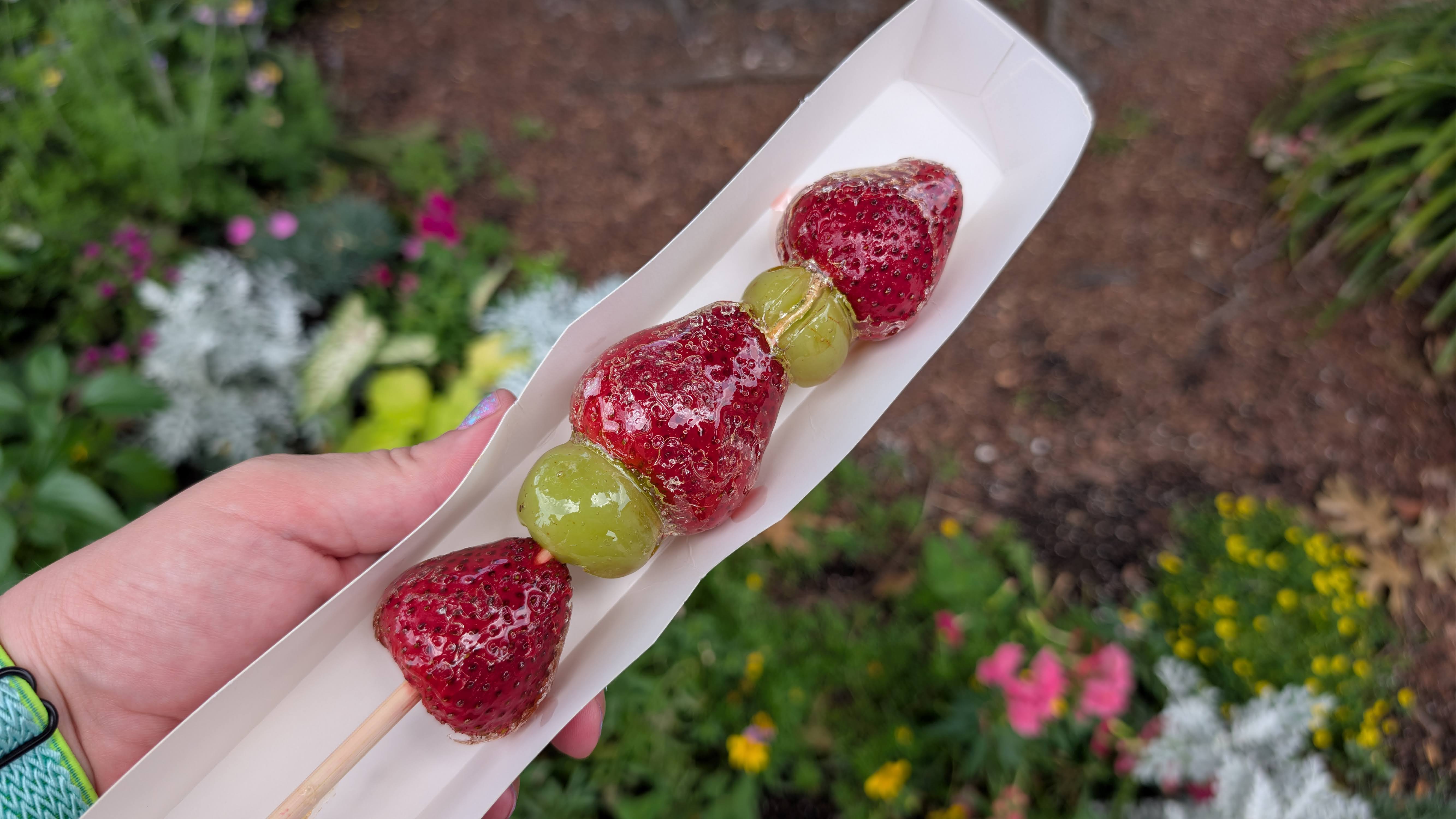 2026 EPCOT International Flower & Garden Festival fruit skewer 2026 EPCOT International Flower & Garden Festival fruit skewer