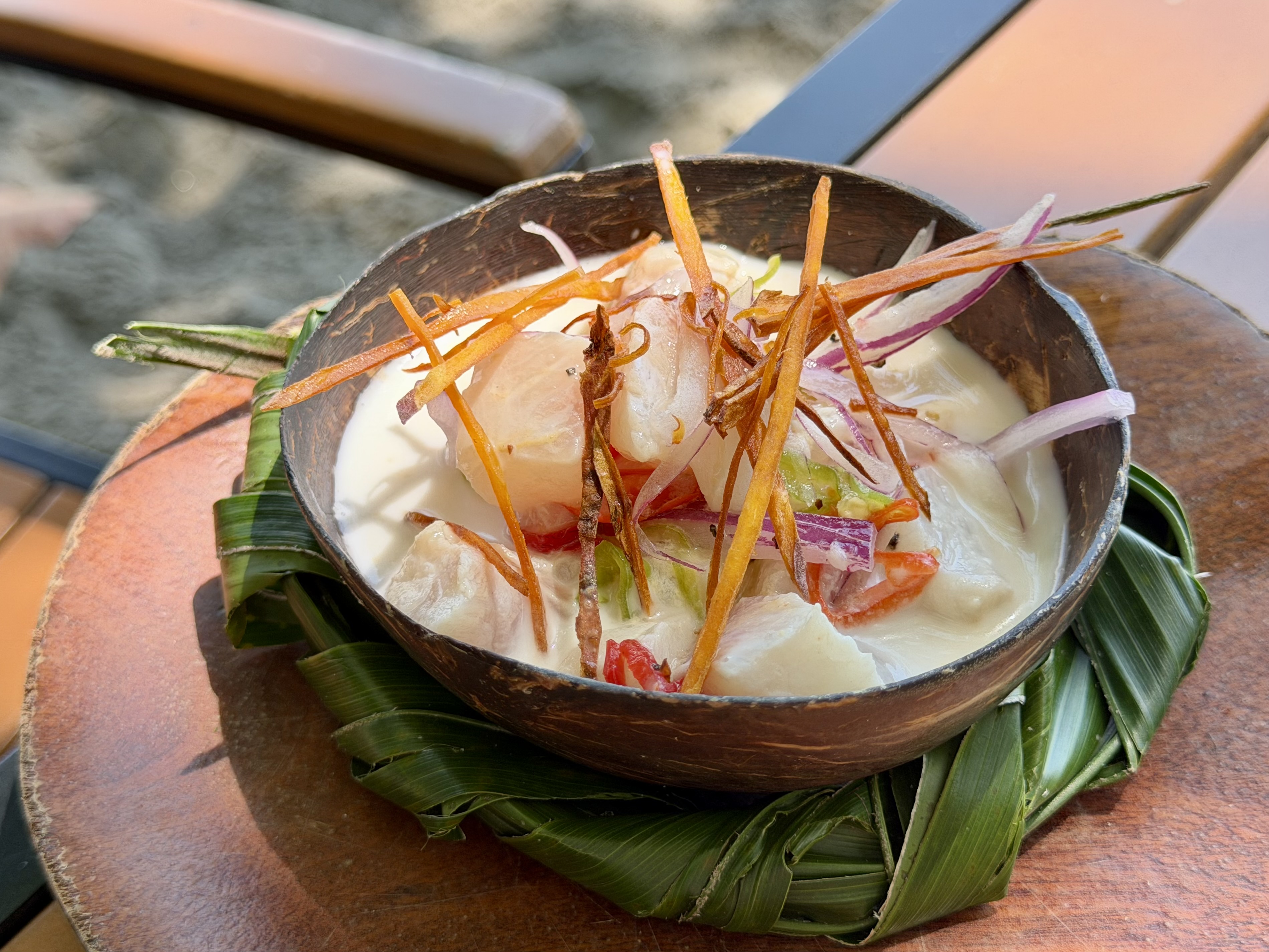 Isla Palenque Panama ceviche