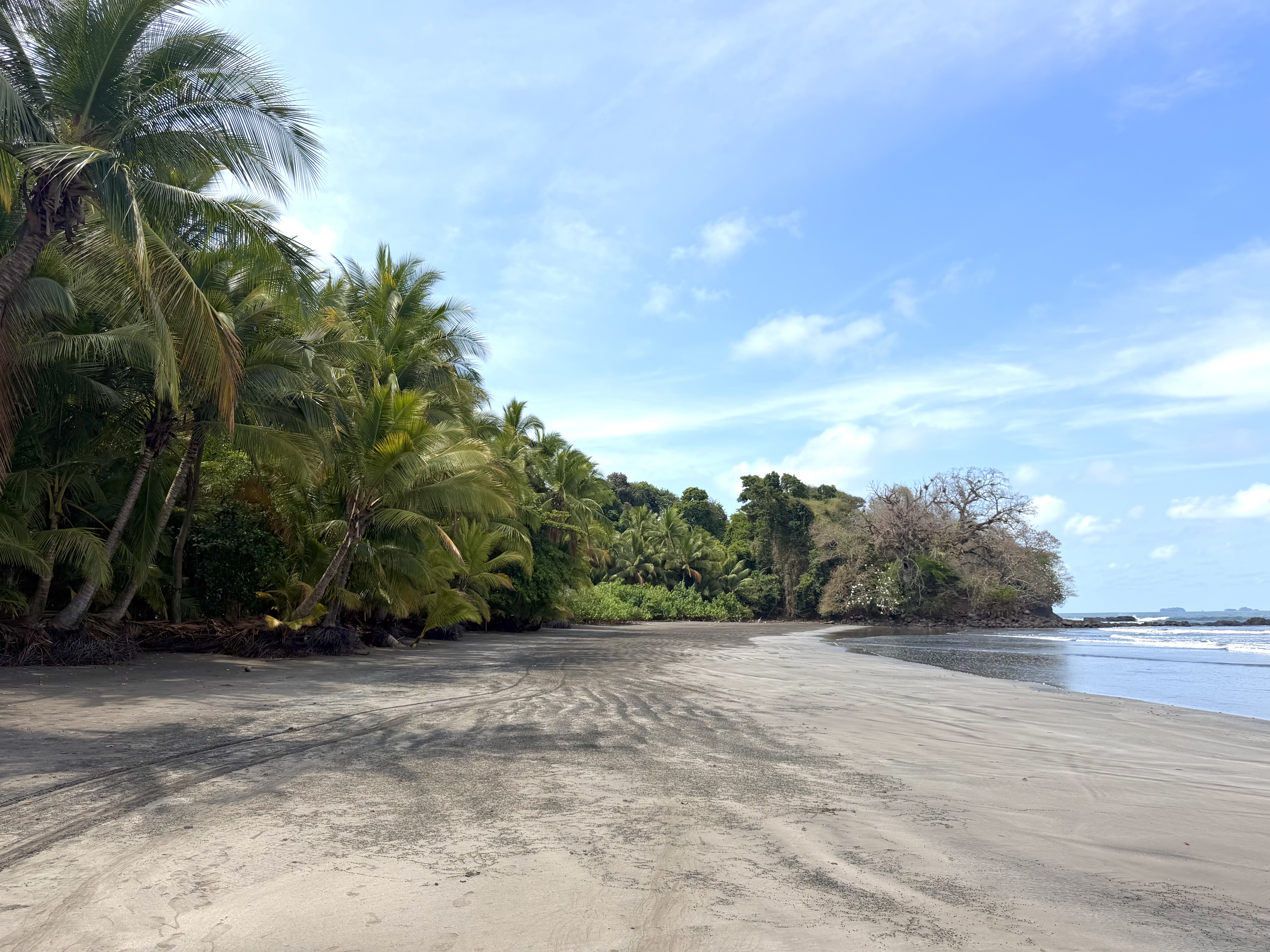 Isla Palenque Panama deserted beach