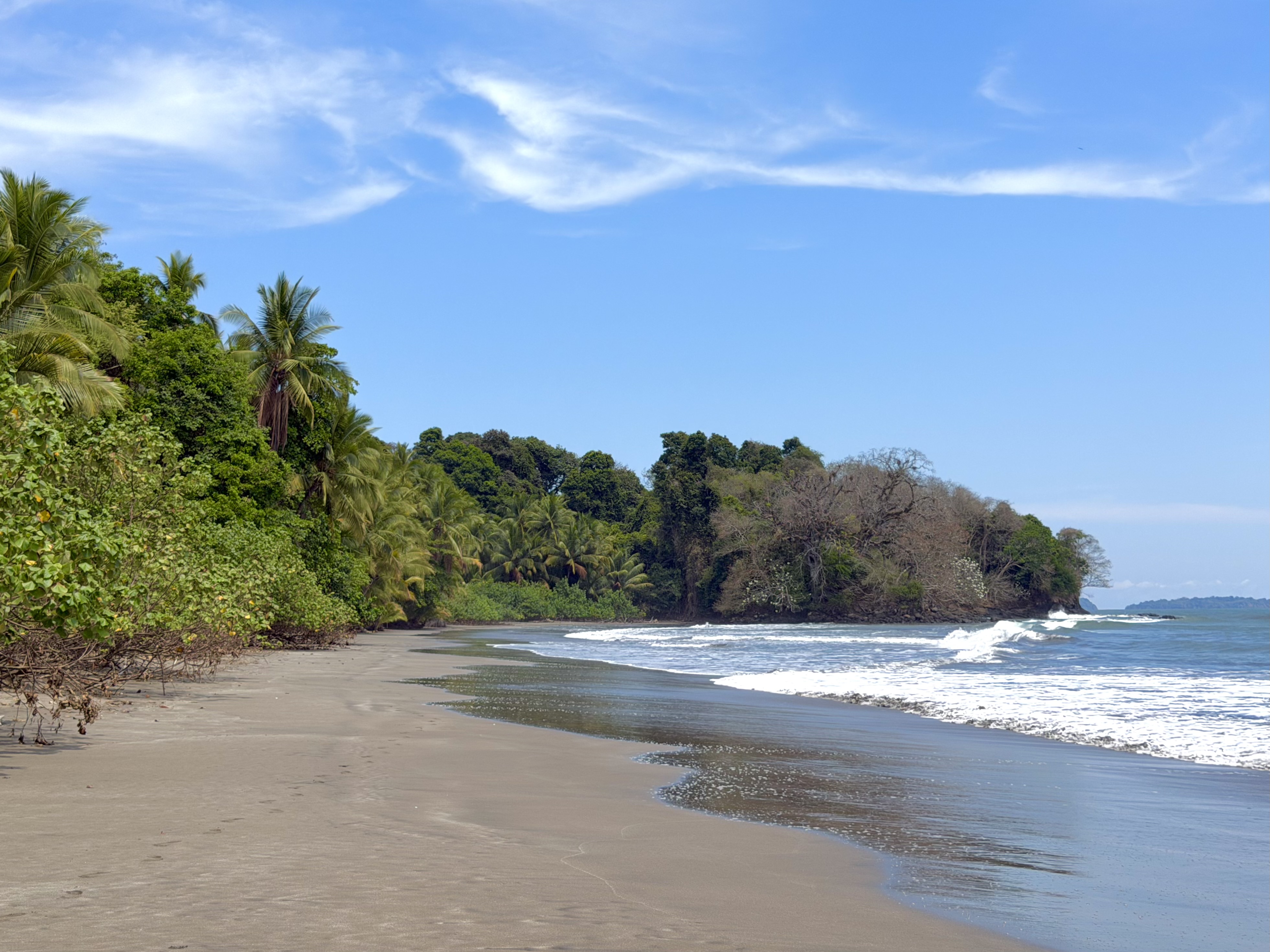 Isla Palenque Panama paradise