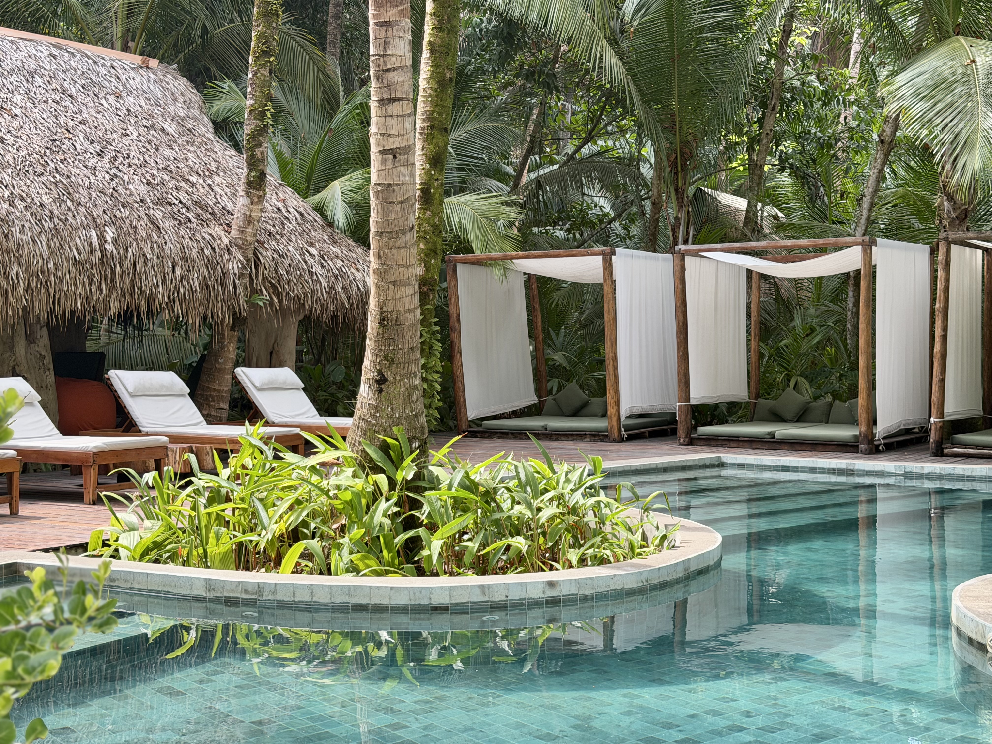 Isla Palenque Panama pool