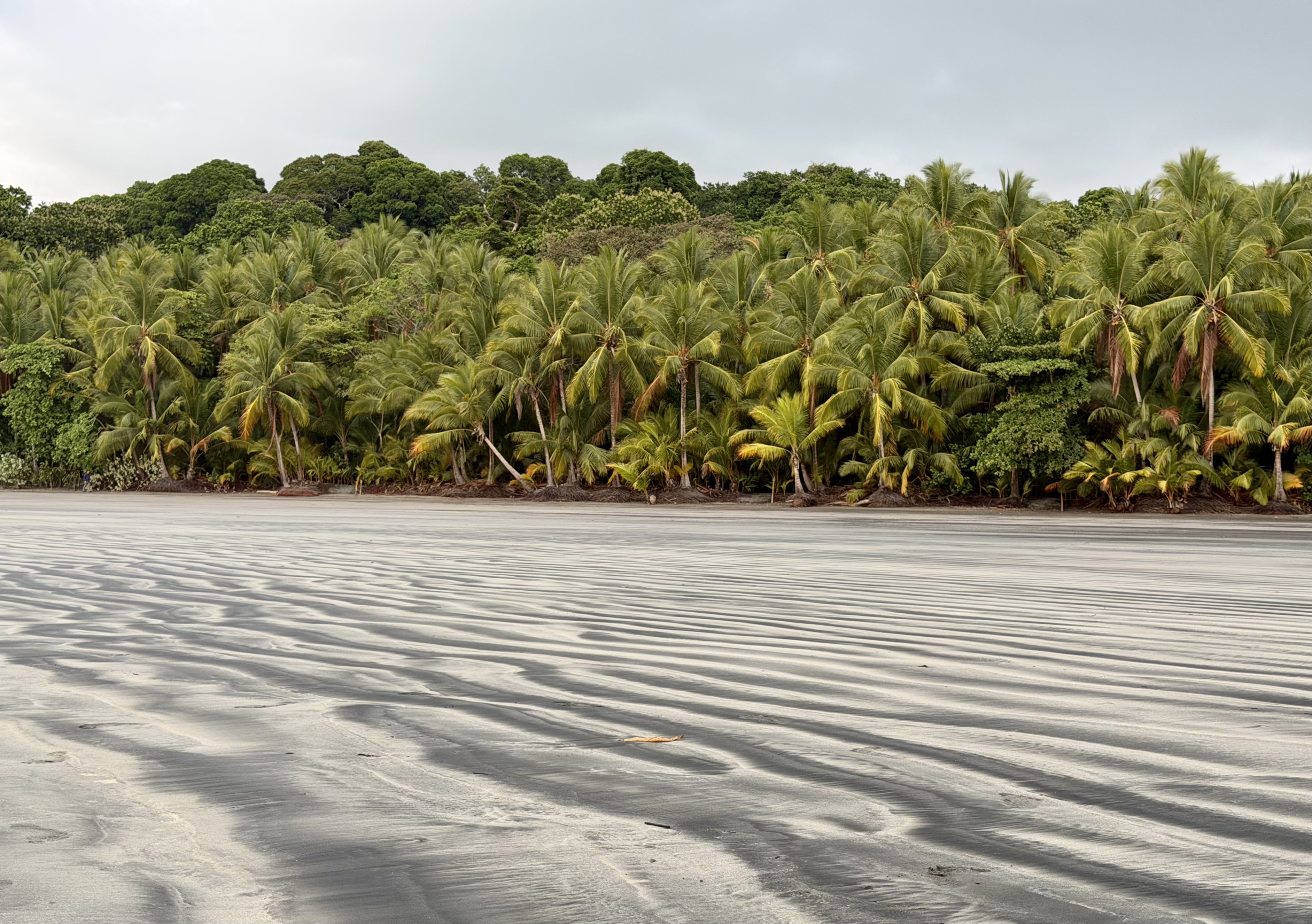 Isla Palenque Panama spot the room Isla Palenque Panama spot the room