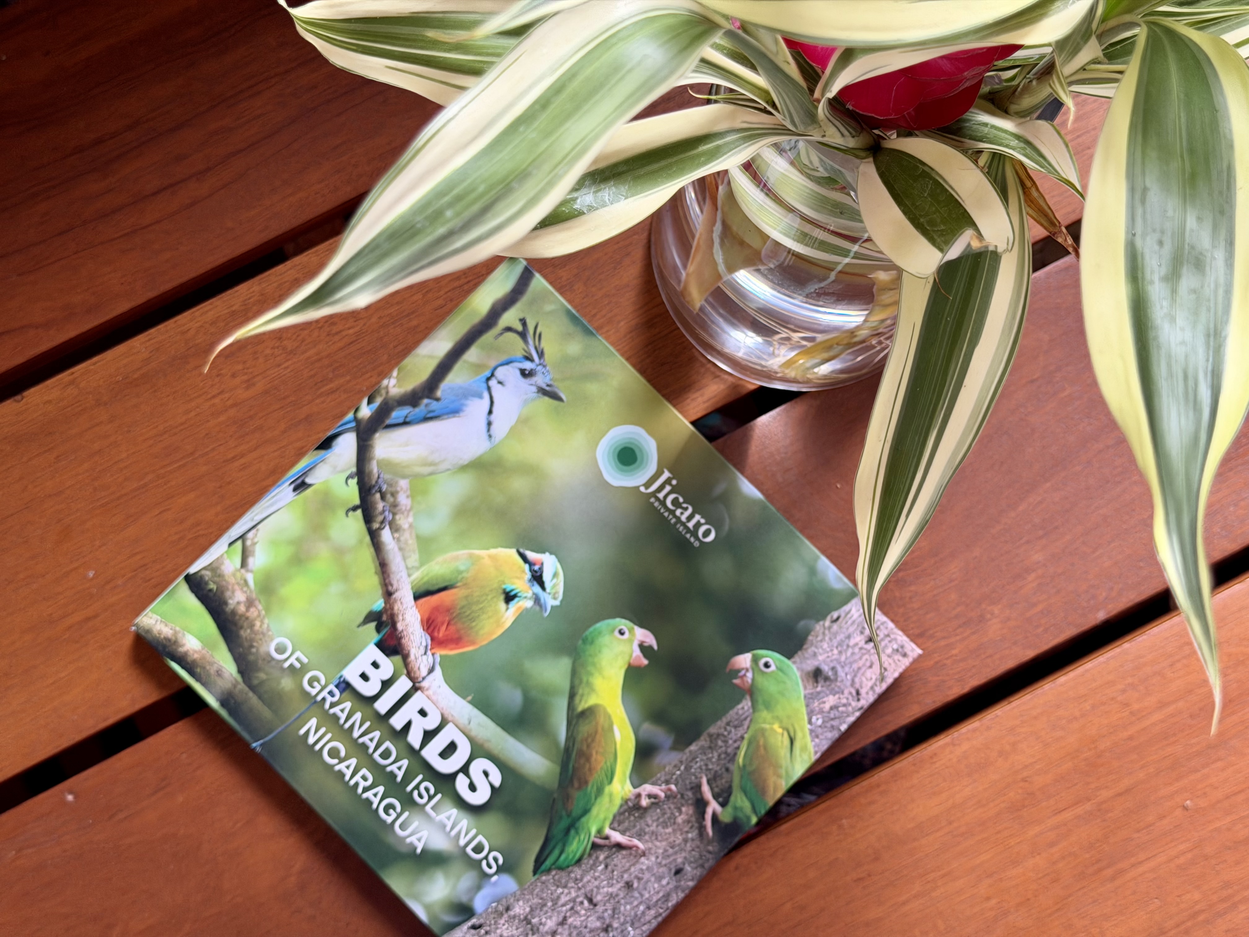 Jicaro Island bird book