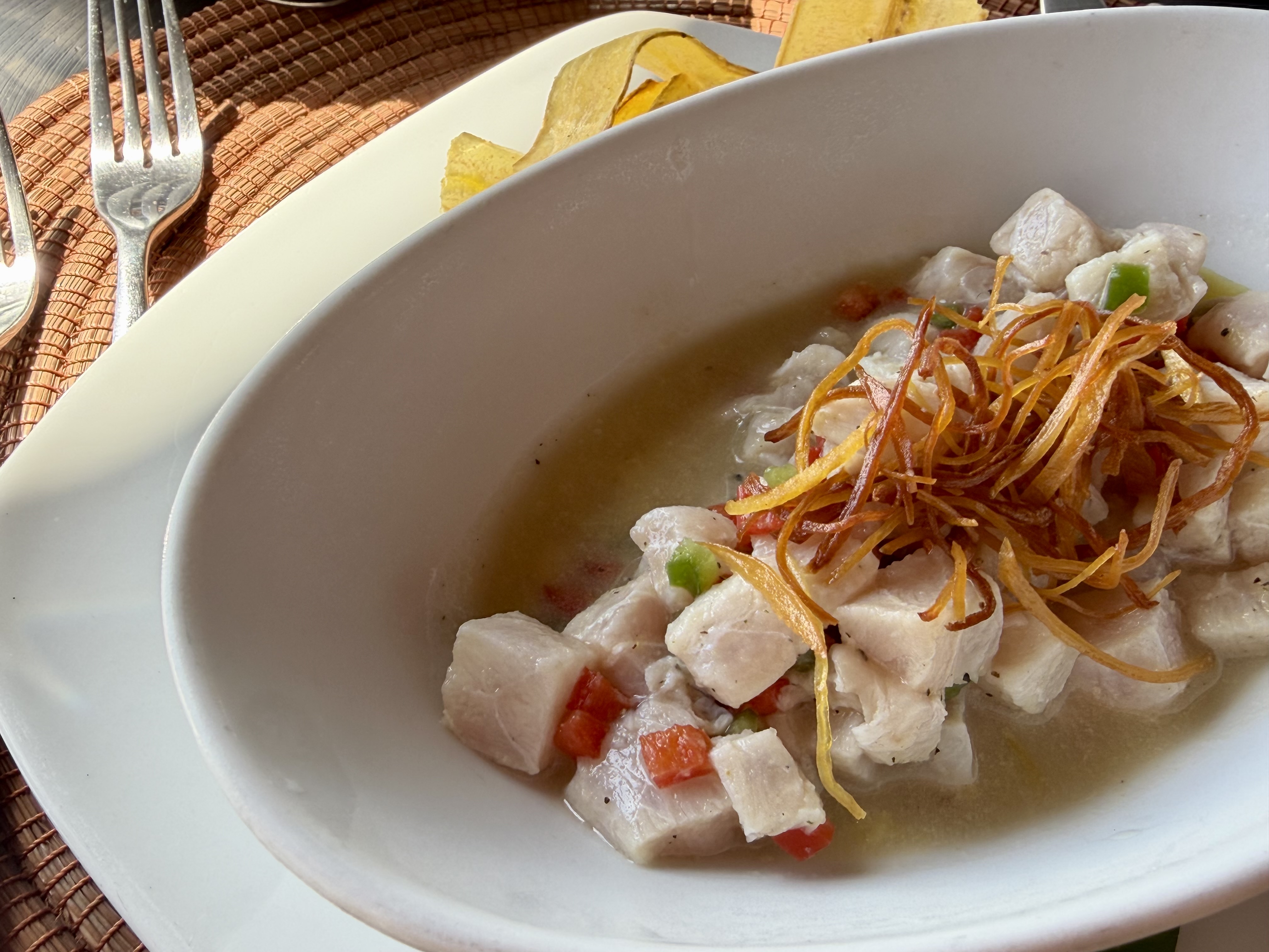 Jicaro Island lunch ceviche