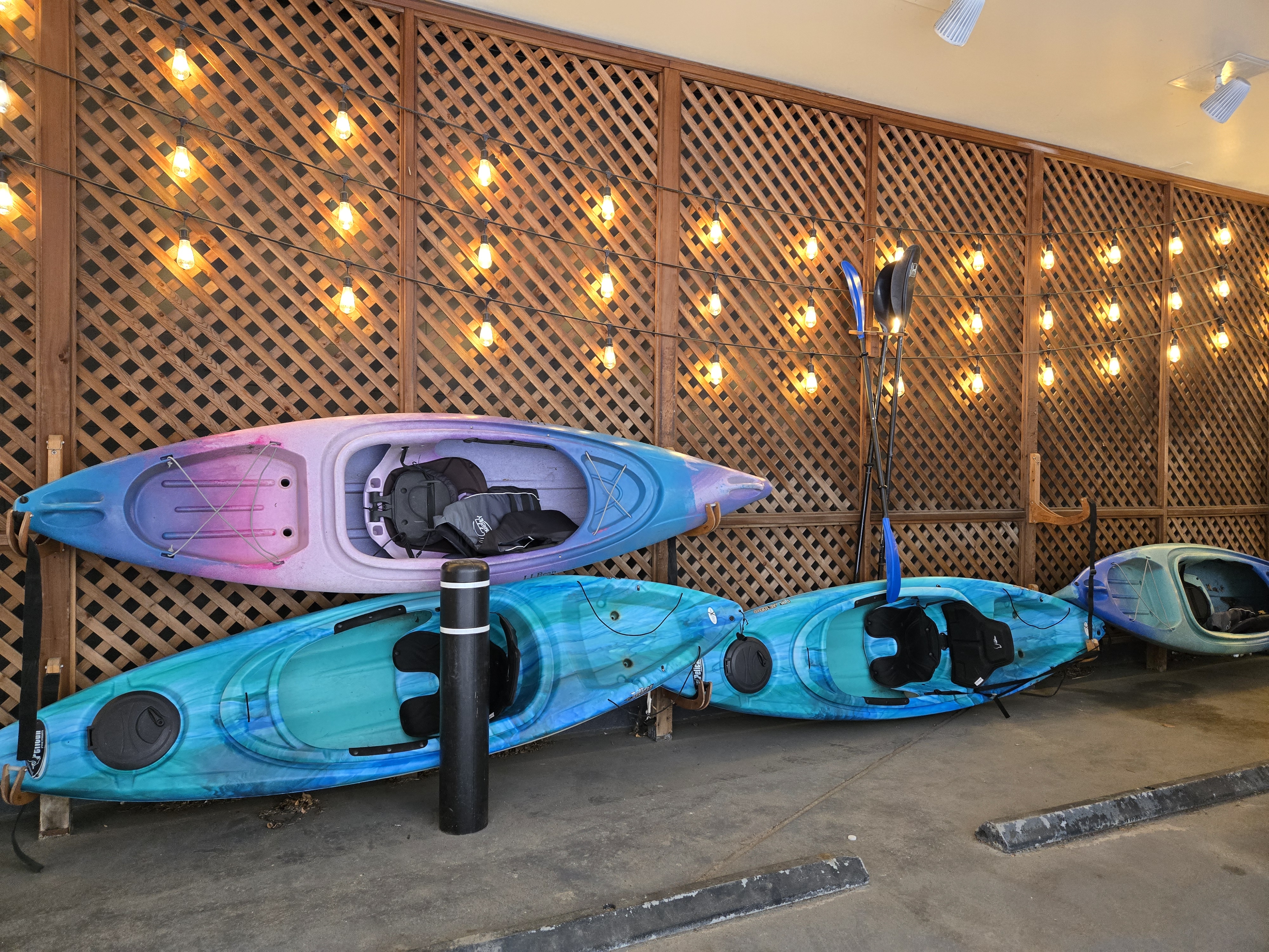 Kimpton Marlowe Boston Kayaks Kimpton Marlowe Boston Kayaks