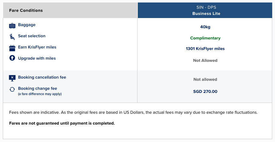 Singapore Business Lite Ticket Conditions