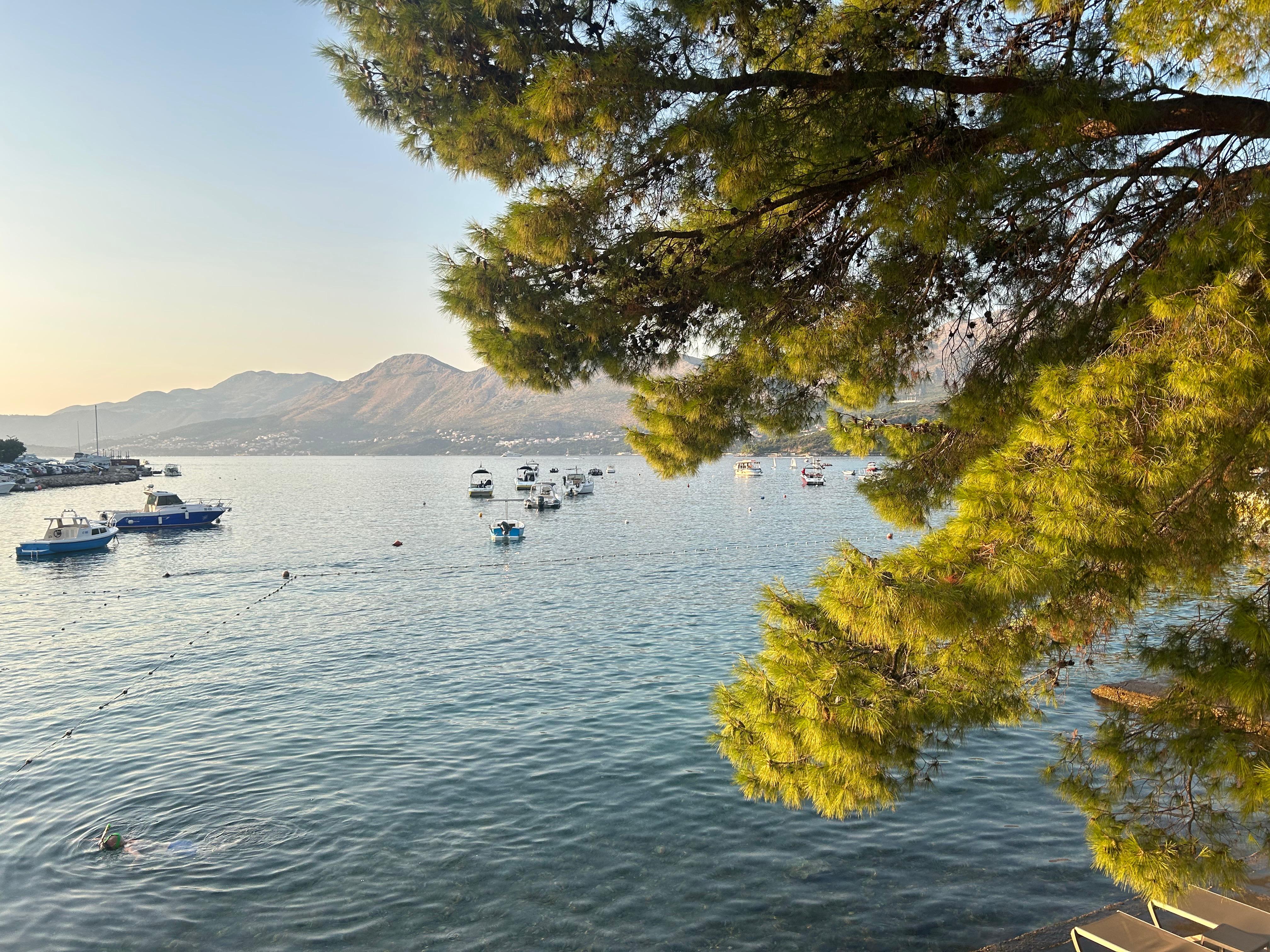 cavtat view